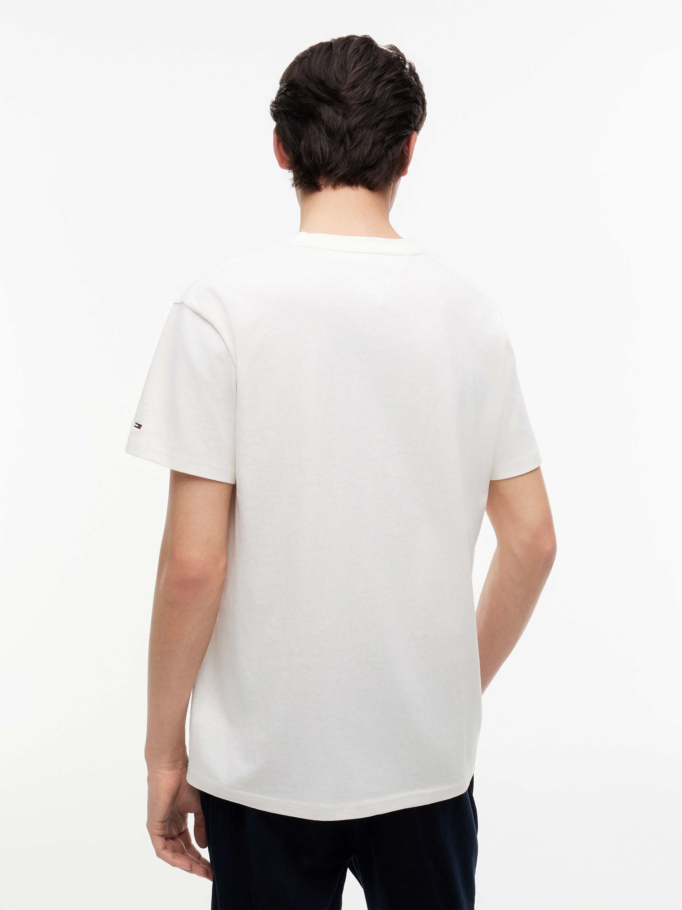 Tommy Jeans T-Shirt »TJM REGULAR PHOTO FLAG«
