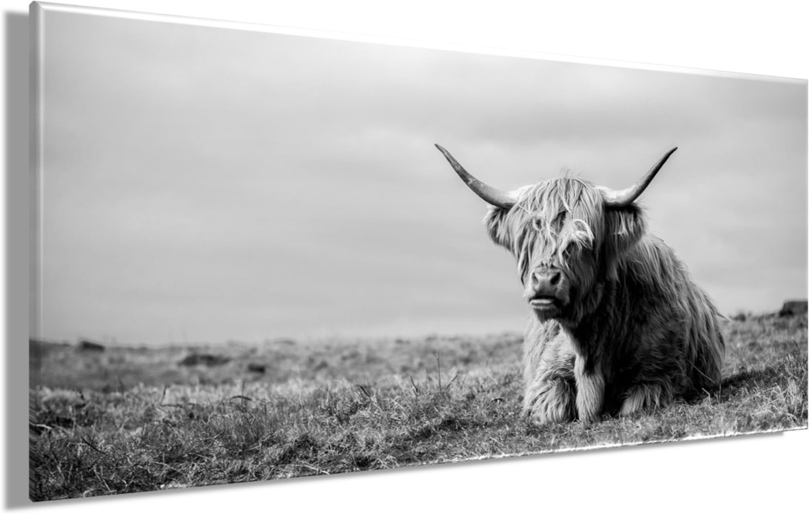 Bönninghoff Bild »Wandbild HOCHLANDRIND LIEGEND 33x70 cm – Leinwandbild Keilrahmen Deko« Hochlandrind | Kuh | Kuhbilder auf Keilrahmen gespannt