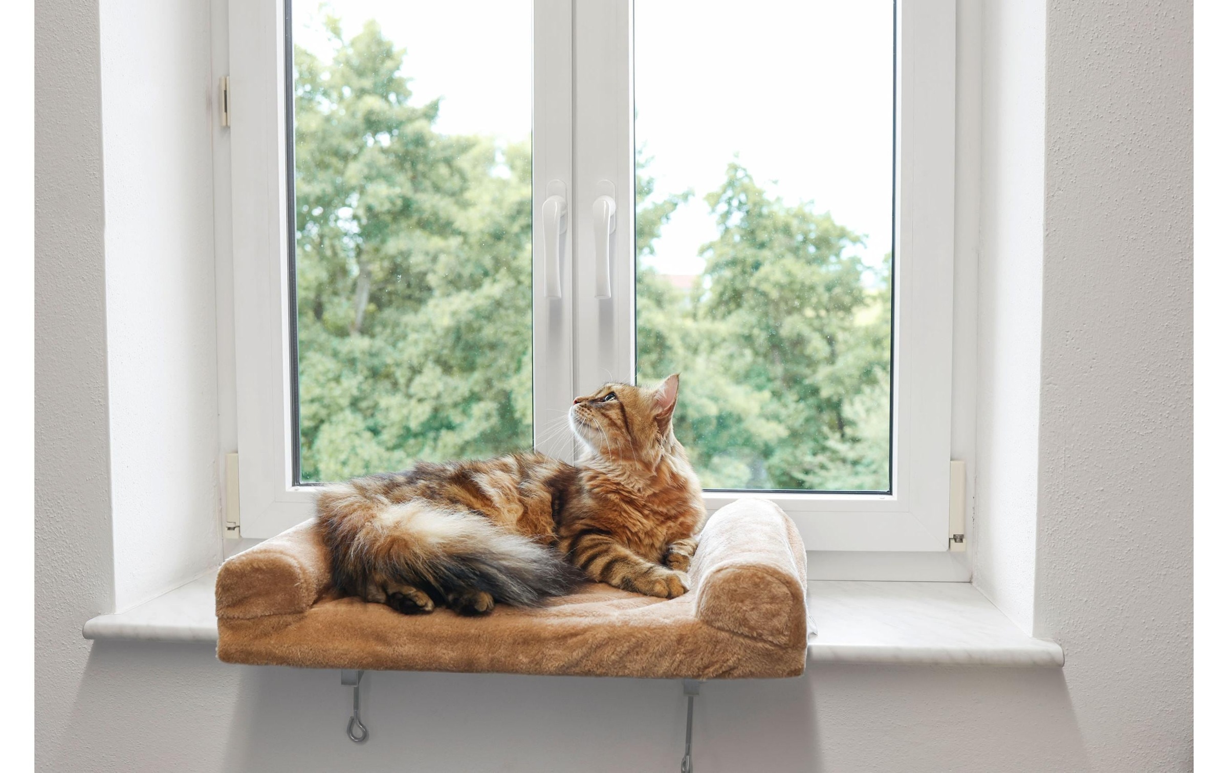 Kerbl Katzenliege »Fensterliegebrett 55 x 35 cm«