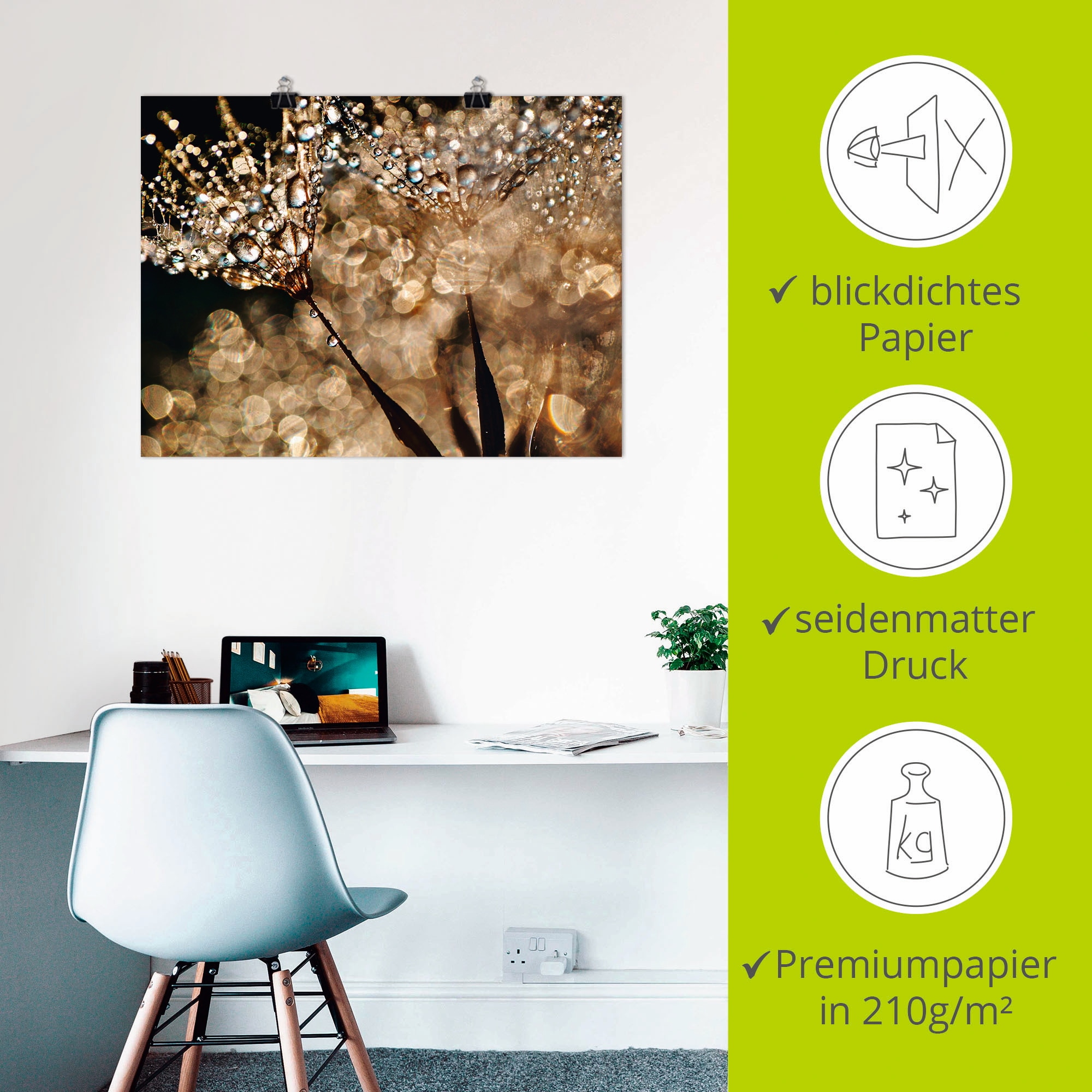 Artland Fresque murale »Pusteblume Goldschimmer« 1 cuis tlg. als Alubild, Leinwandbild, Poster in verschied. Grössen