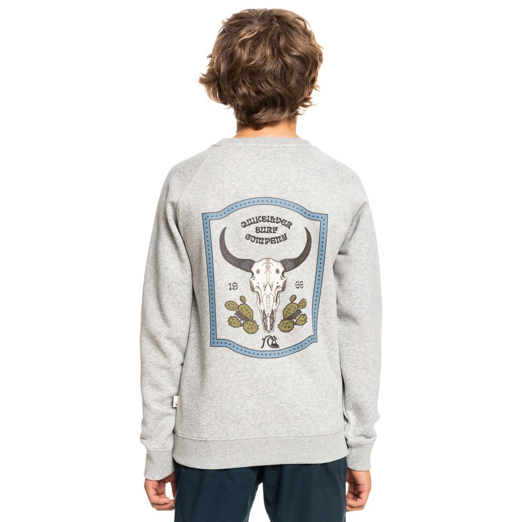 Quiksilver Sweatshirt »Wild Cars«