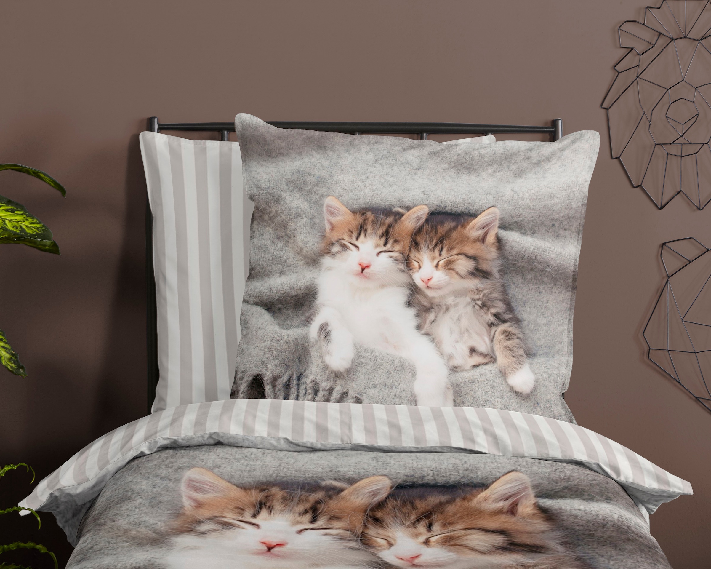 PURE luxury collection Kinderbettwäsche »Snooze«, Mikrofaser, 135x200, Pflegeleicht, Reissverschluss, Wende, Kind, Katze