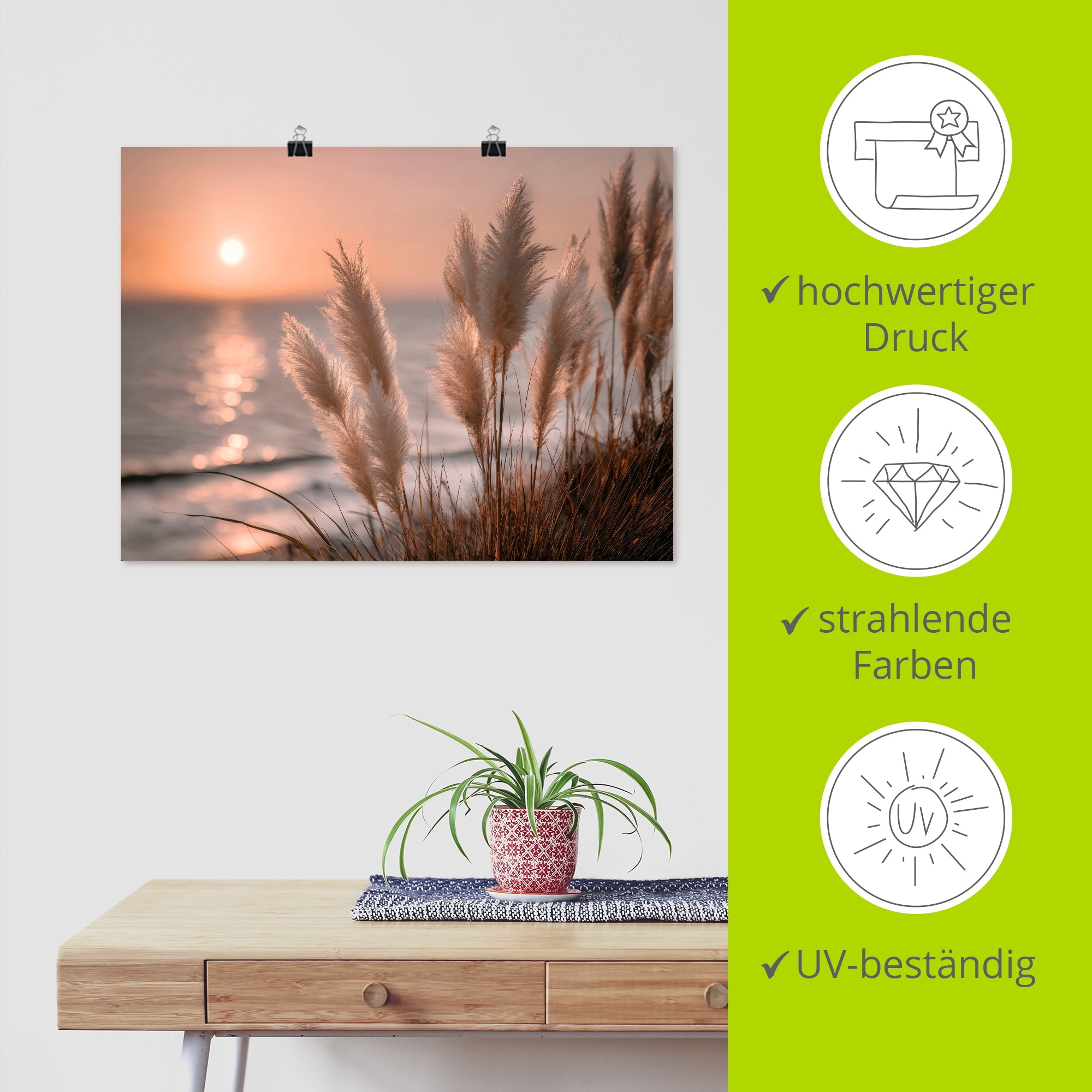 Artland Wandbild »Küstenträume im Abendwind« Gräser 1 Stk. tlg. als Alubild, Leinwandbild, Poster, Wandaufkleber in verschied. Grössen