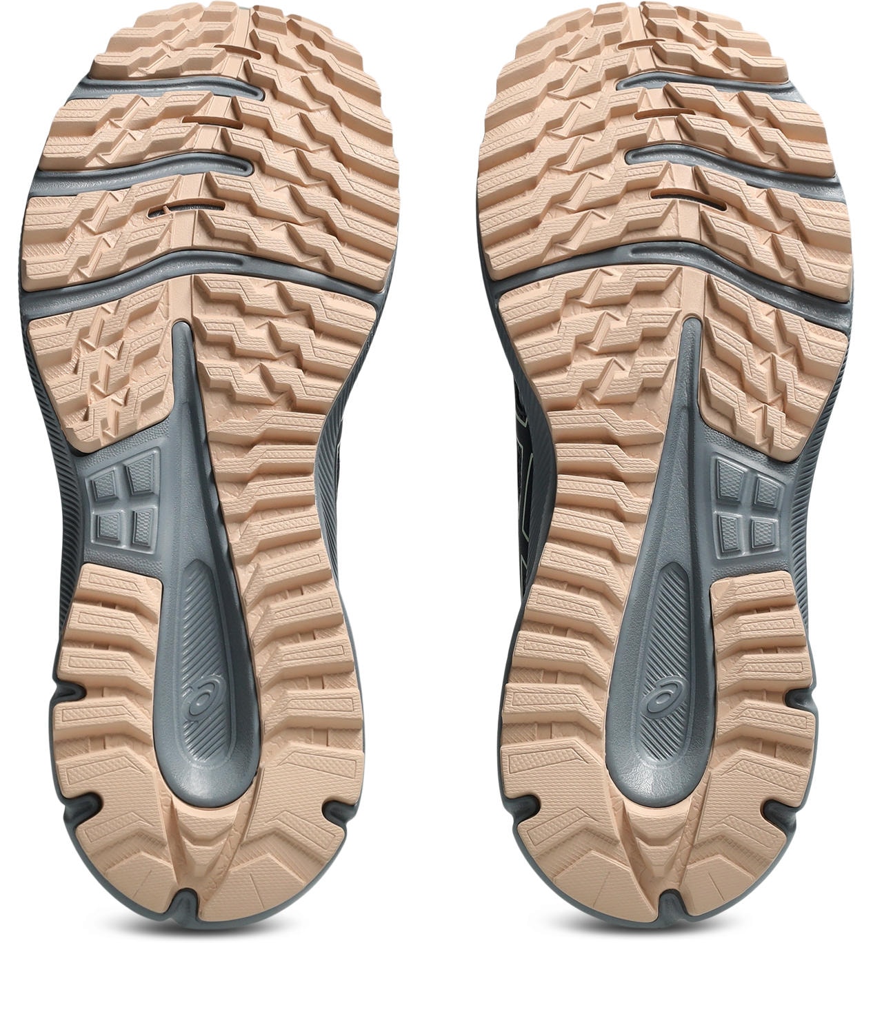 Asics Trailrunningschuh »TRAIL SCOUT 3«