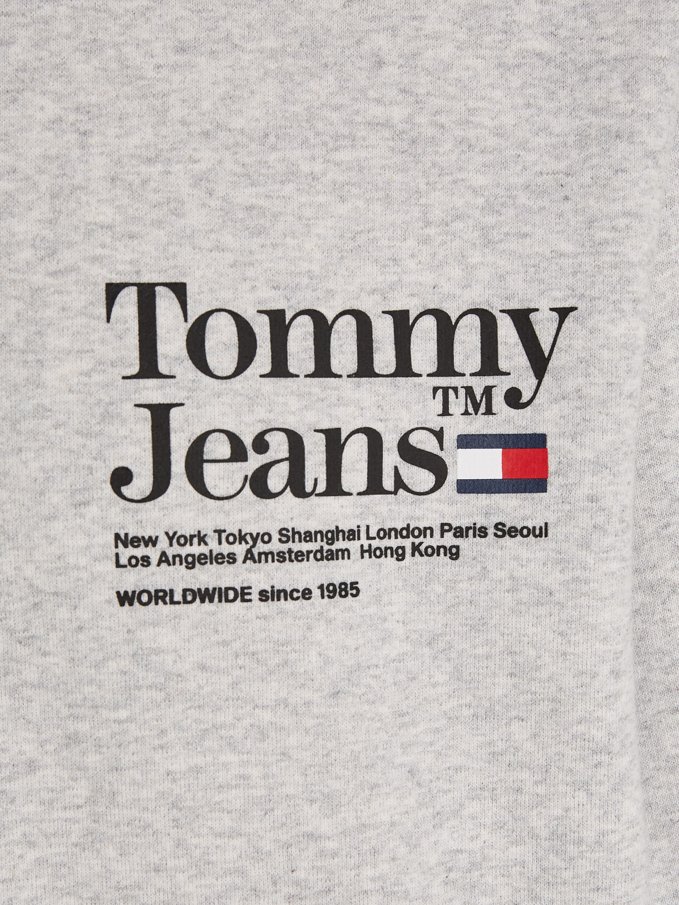 Tommy Jeans Kapuzensweatshirt »TJM REG MODERN TOMMY TM HOODIE«