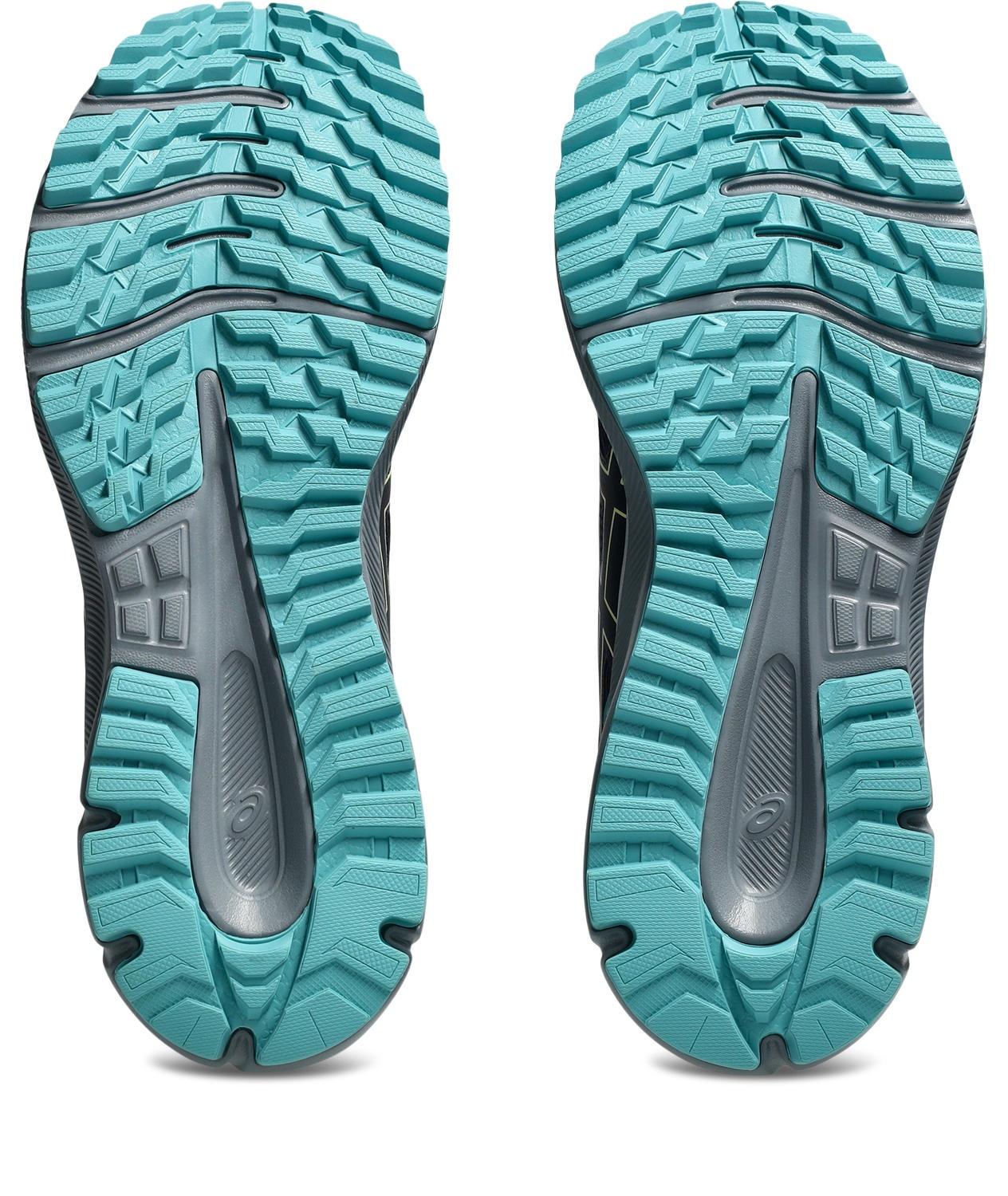 Asics Trailrunningschuh »TRAIL SCOUT 3«