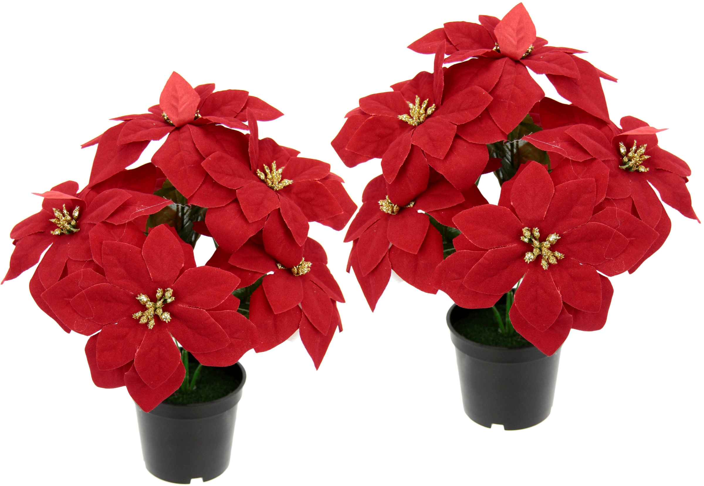 Kunstpflanze »Poinsettie«, im Topf, 2er Set