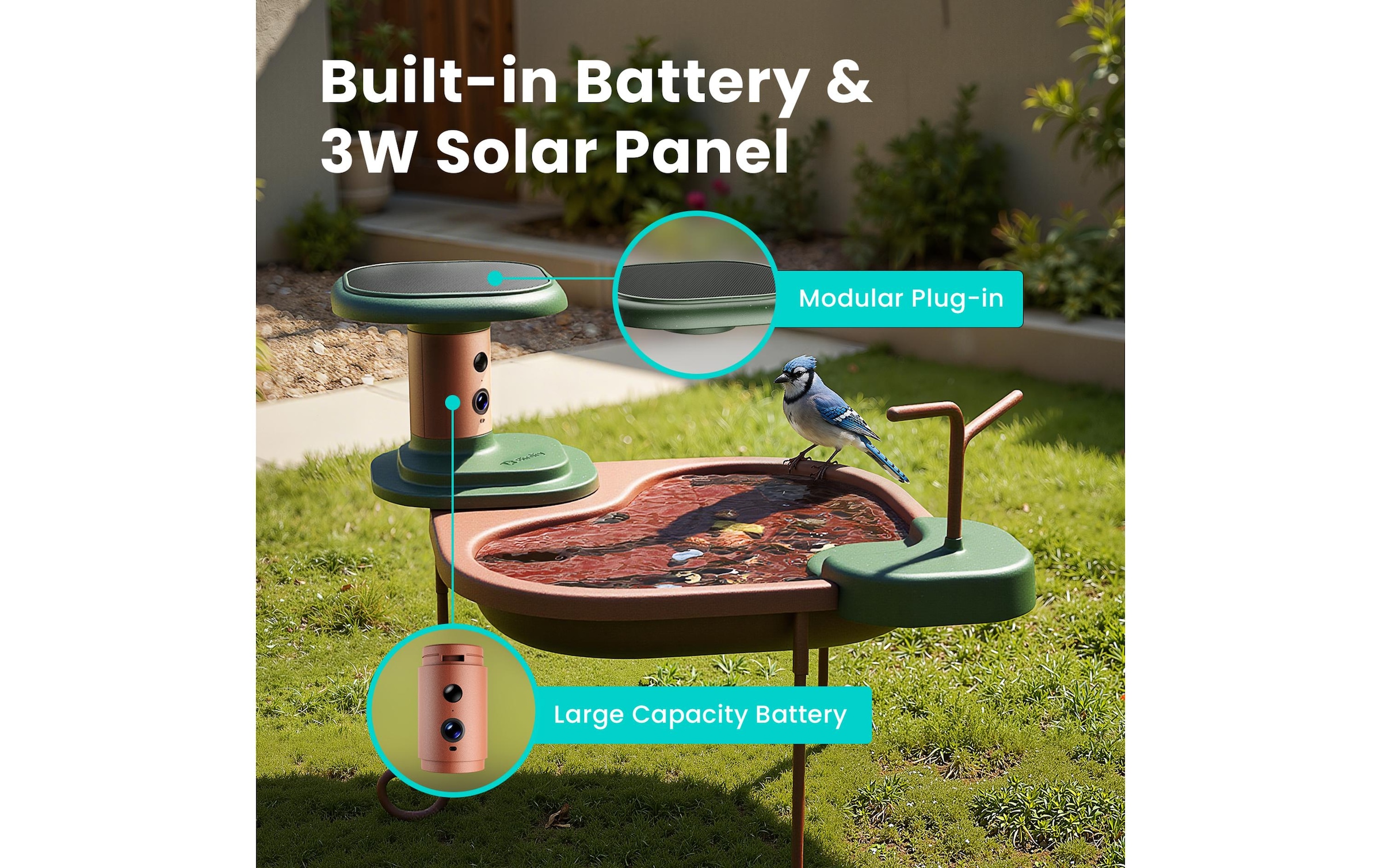 Birdfy Mangeoire pour oiseaux »Jolly V« Vogelfutterspender mit Kamera und Solarpanel