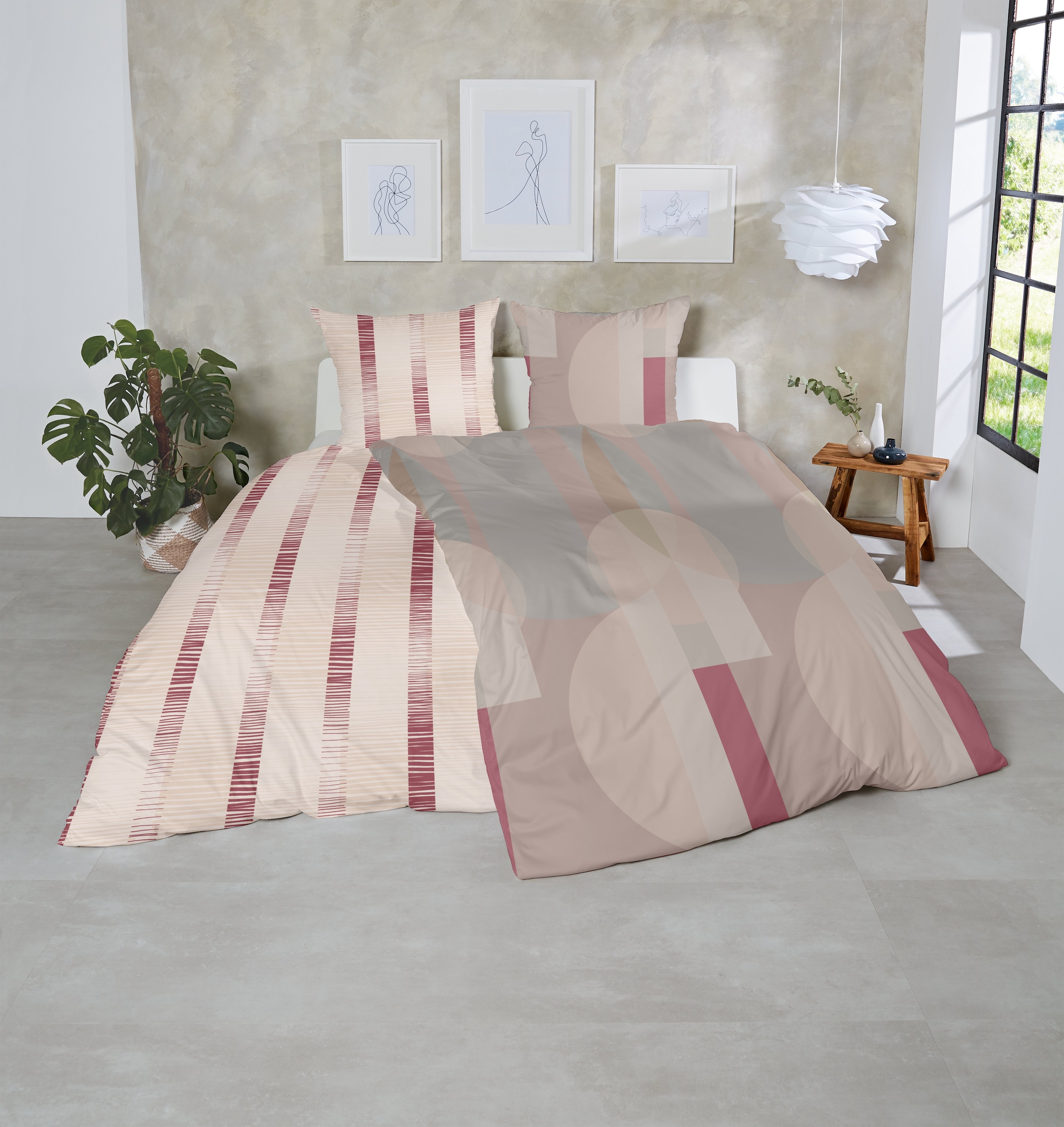 Primera Linge de lit »Feinbiber-Bettwäsche Ball« 2 cuis tlg. mit modernem Muster