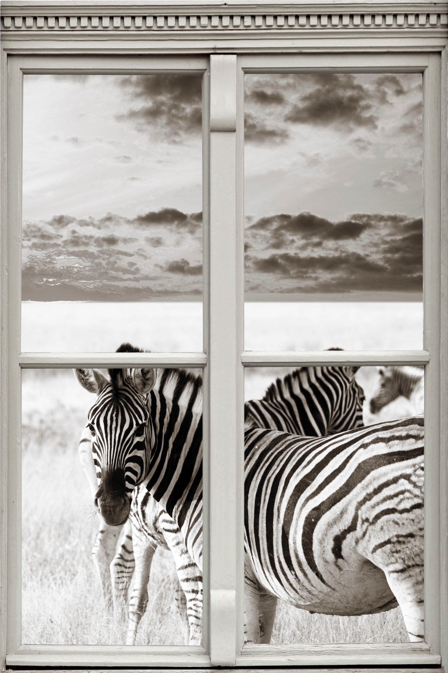 Image of queence Wandsticker »Zebras« bei Ackermann Versand Schweiz