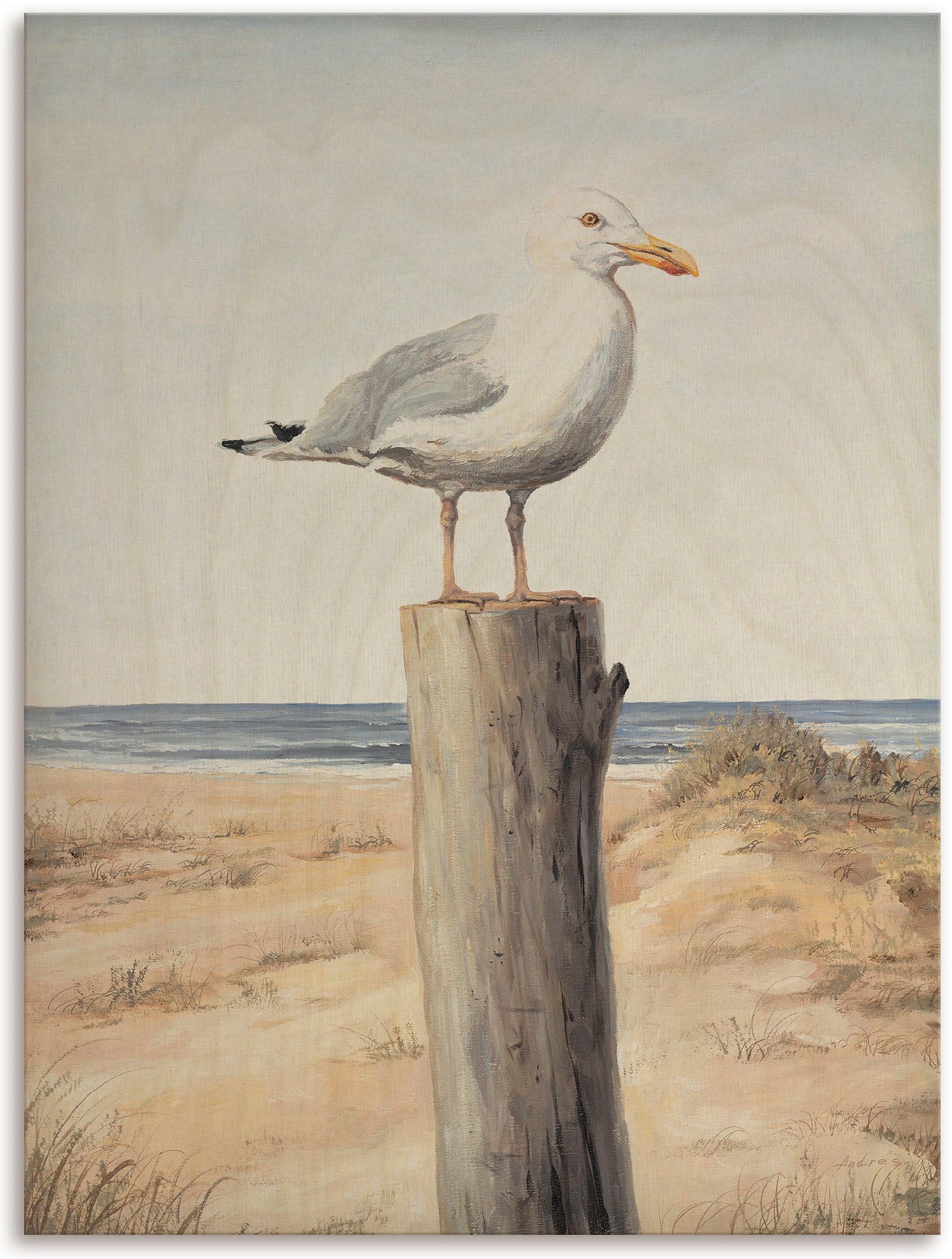 Image of Artland Holzbild »Möwe«, Tierbilder, (1 St.) bei Ackermann Versand Schweiz