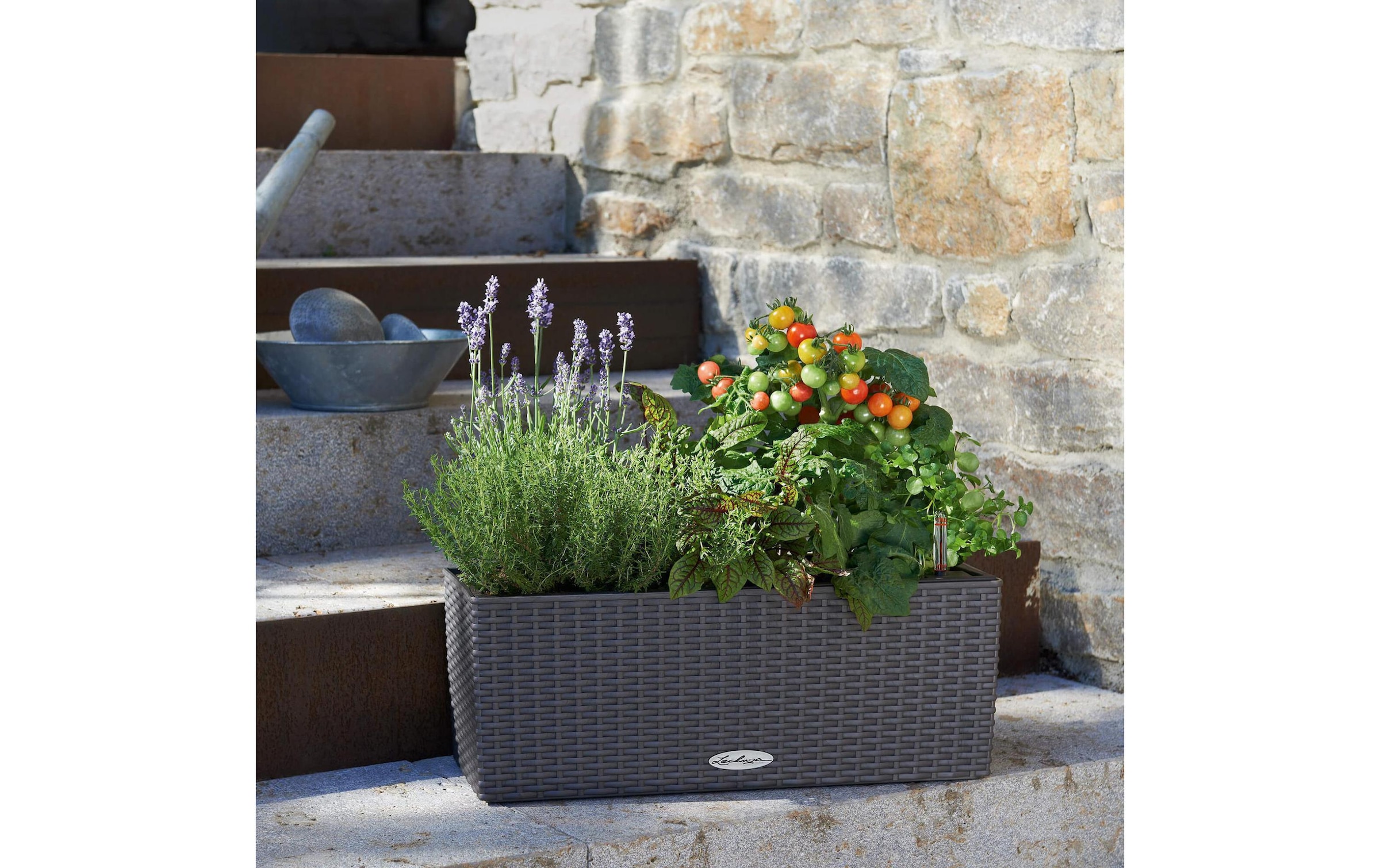   Pot de fleurs »Lechuza Balconera Cottage 50 Anthrazit«