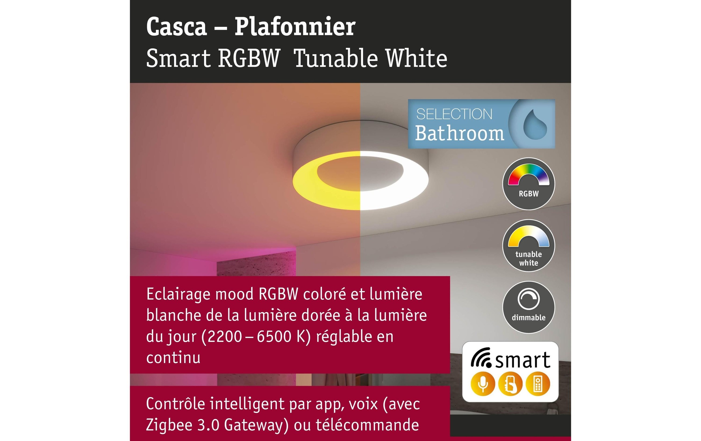 Paulmann Deckenleuchte »Deckenleuchte Casca IP44, Alu matt« LED-Modul RGB | warmweiss - kaltweiss
