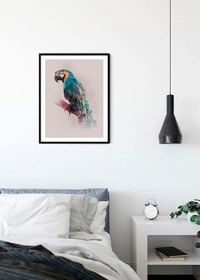 Komar Bild »Animals Paradise Parrot«, Tiere, (1 St.), Wandbild zur Dekoration - ohne Rahmen