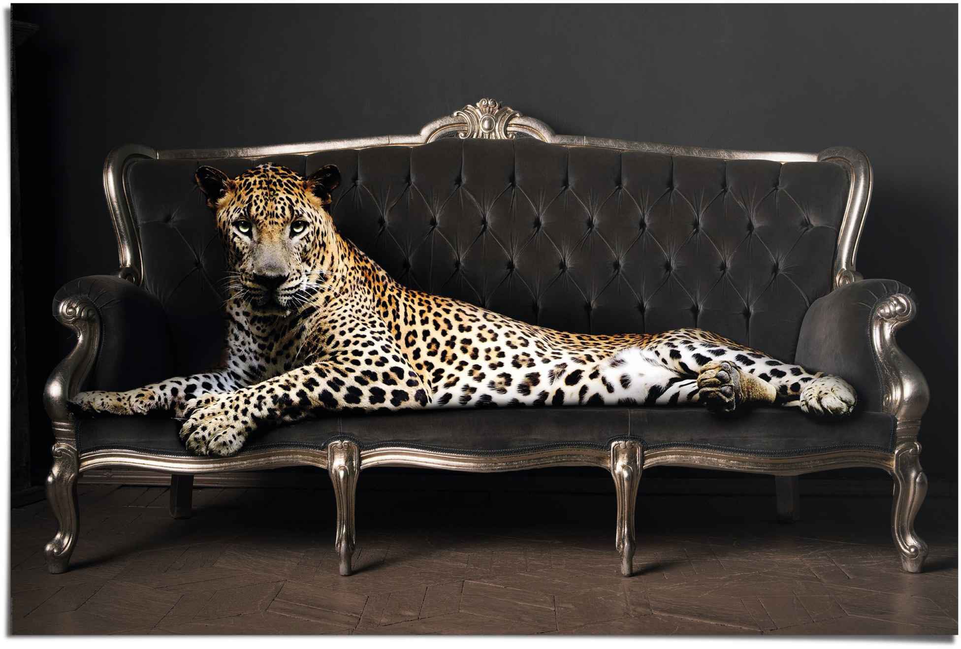 Poster »Leopard Chic Panther - Liegend - Luxus - Relax«, (1 St.)