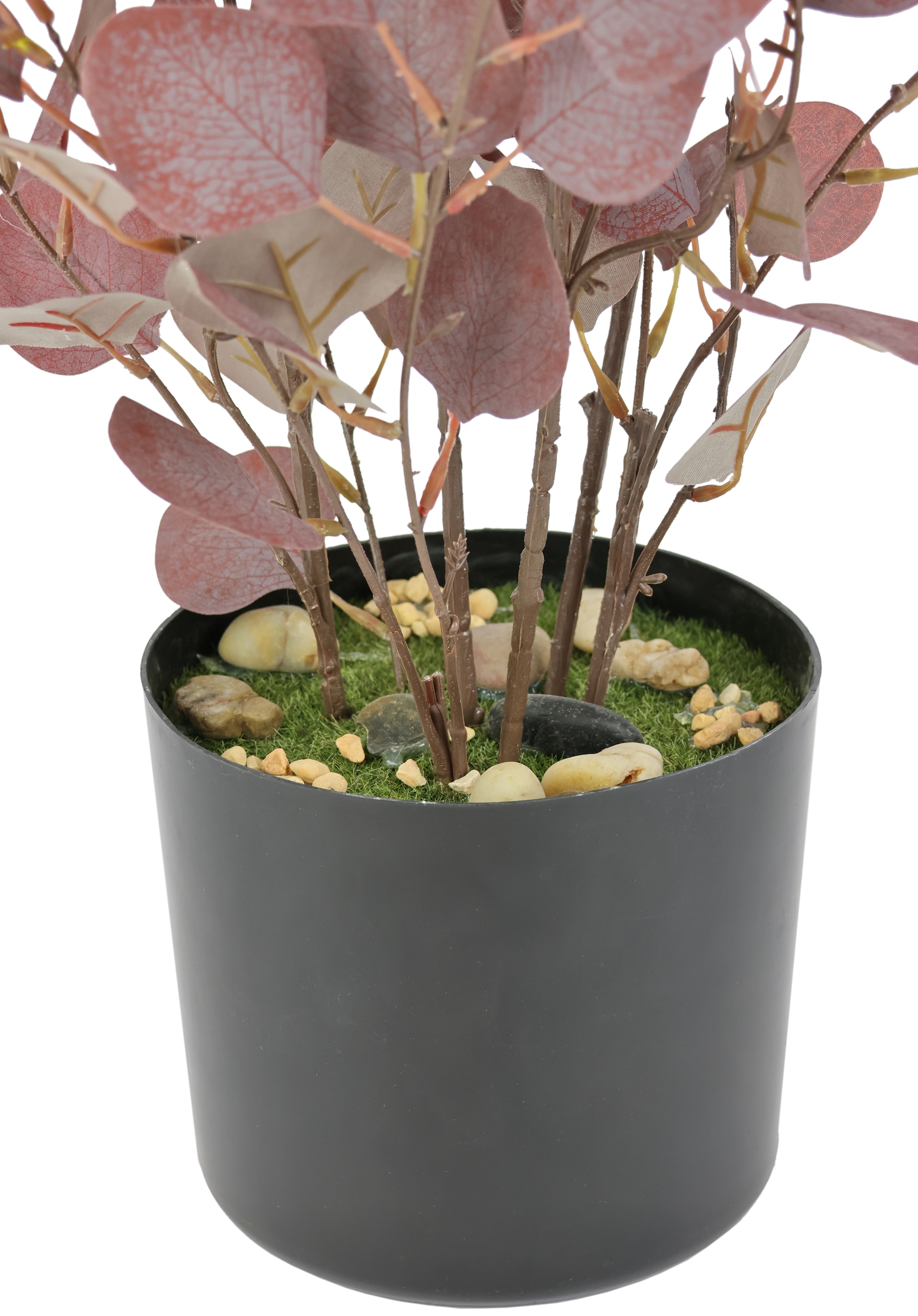 I.GE.A. Plante artificielle »Eukalyptuspflanze« Im Topf künstlicher Eukalyptus Eukalyptusbaum Eukalyptusbusch Pflanze