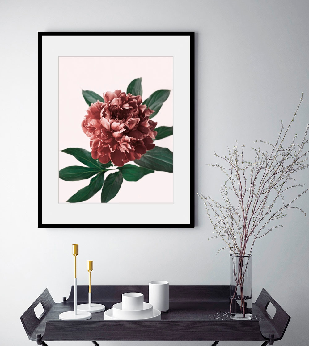 Image of queence Bild "Corinna" Blumen Foto Pflanzen Pflanzenbilder 1 Stk. tlg. HD Premium Poster-Druck inkl. Holzrahmen