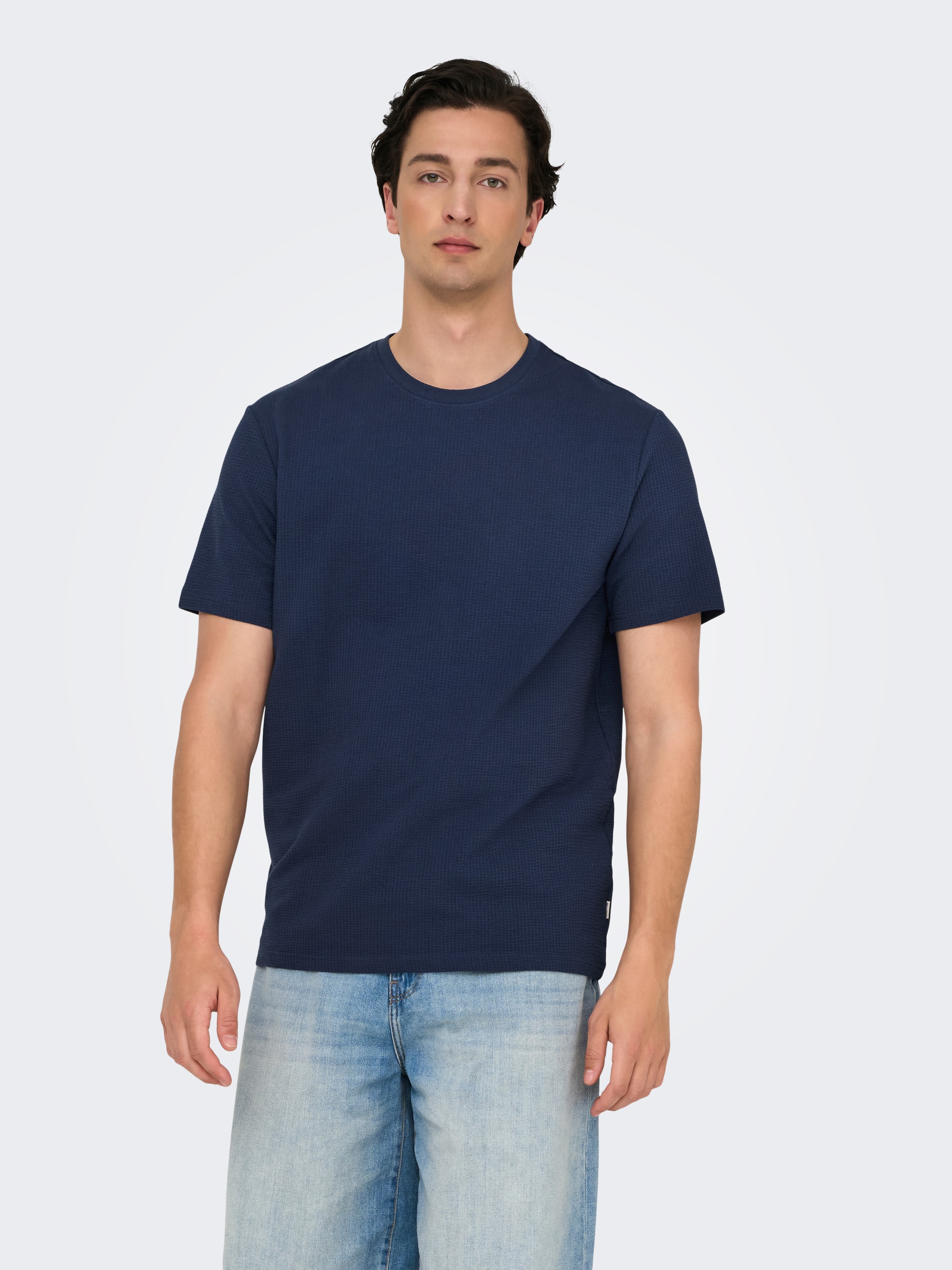 ONLY & SONS Rundhalsshirt »ONSKIAN LIFE REG SEERSUCKER SS TEE NOOS«