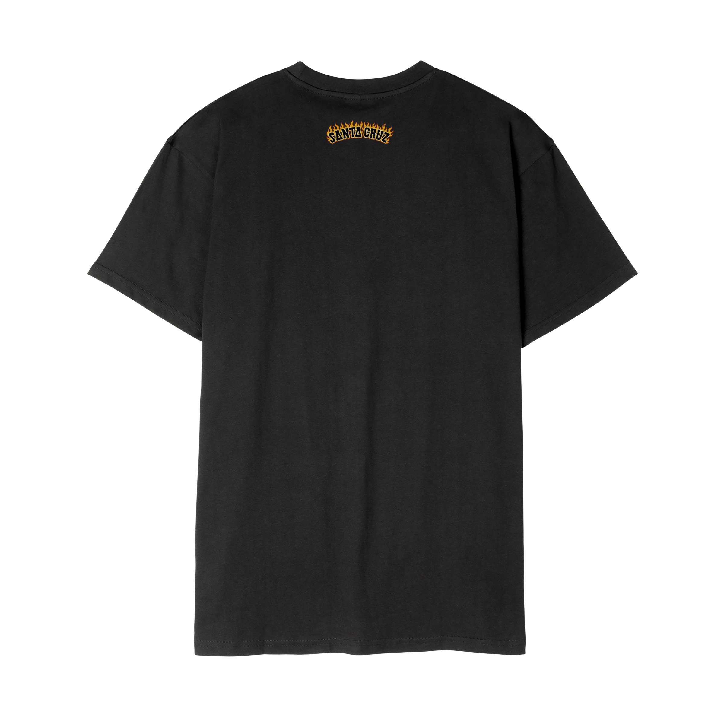 Santa Cruz T-Shirt »BURNT BONE HAND T-SHIRT«, (1 tlg.)
