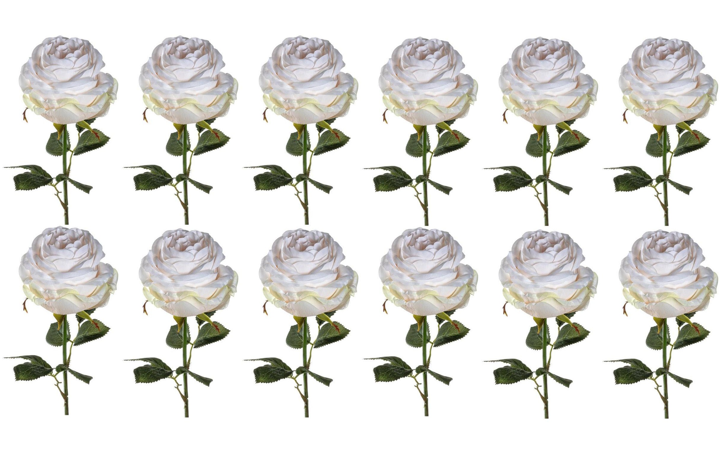 Image of LEONARDO Kunstblume »39 cm Rose 12« bei Ackermann Versand Schweiz