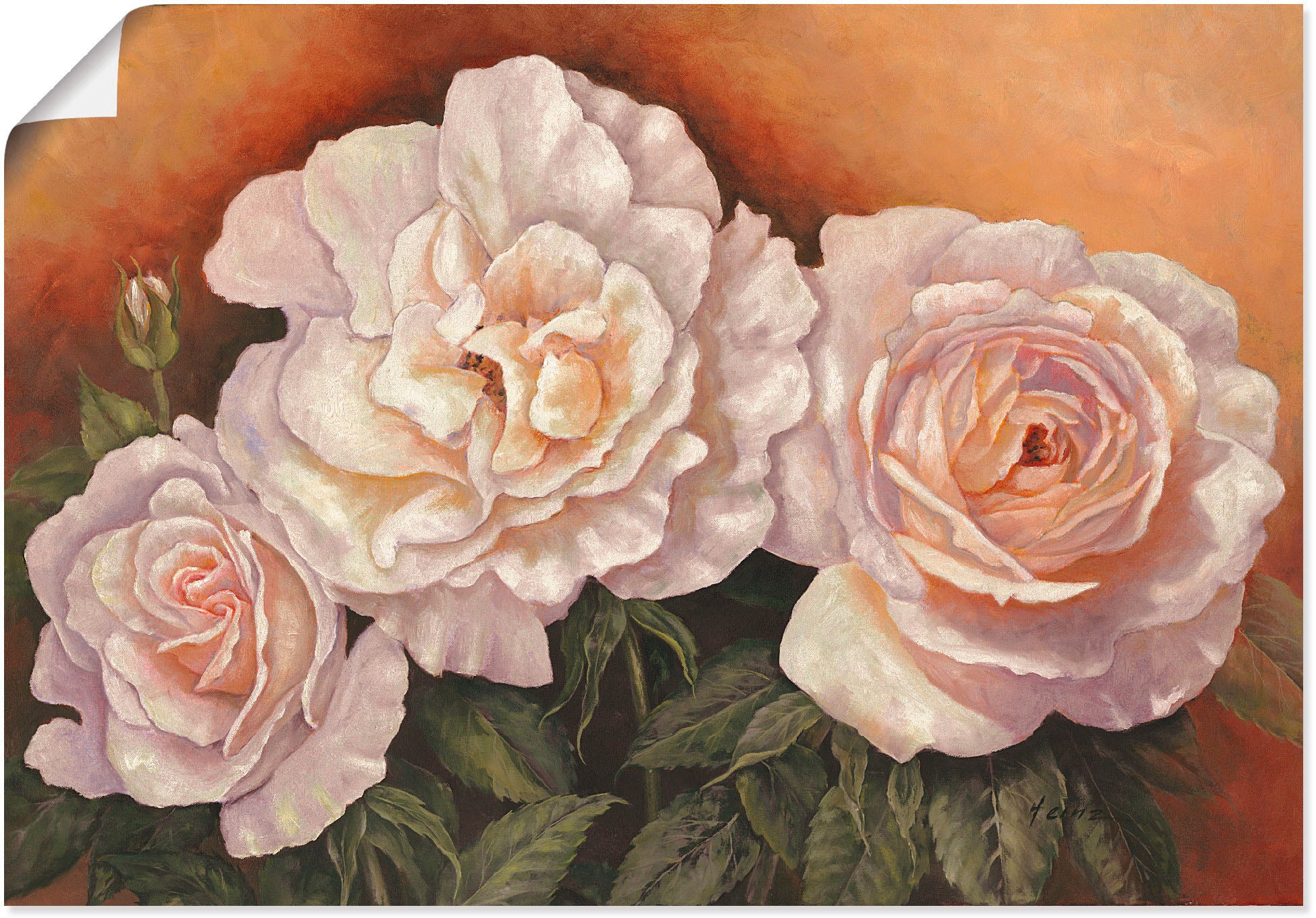 Image of Artland Wandbild »Wildrosen«, Blumen, (1 St.), in vielen Grössen & Produktarten - Alubild / Outdoorbild für den Aussenbereich, Leinwandbild, Poster, Wandaufkleber / Wandtattoo auch für Badezimmer geeignet bei Ackermann Versand Schweiz