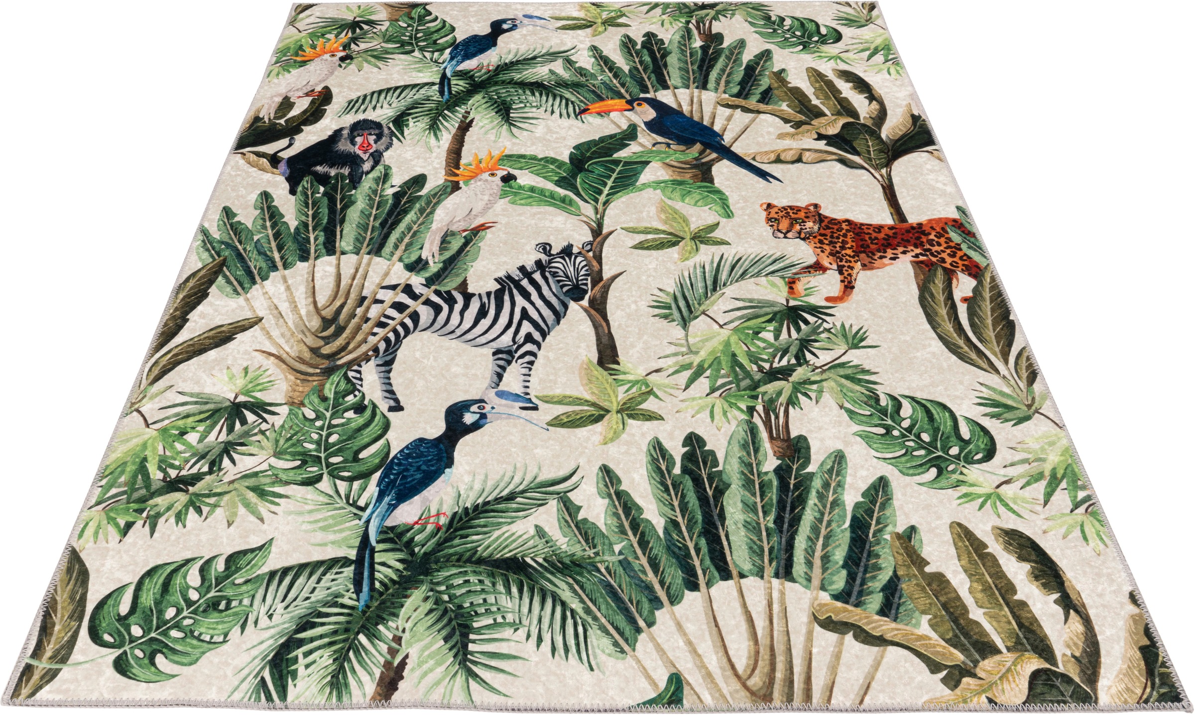 Image of Obsession Teppich »Exotic 13m«, rechteckig, 5 mm Höhe, Kurzflor, Wohnzimmer bei Ackermann Versand Schweiz