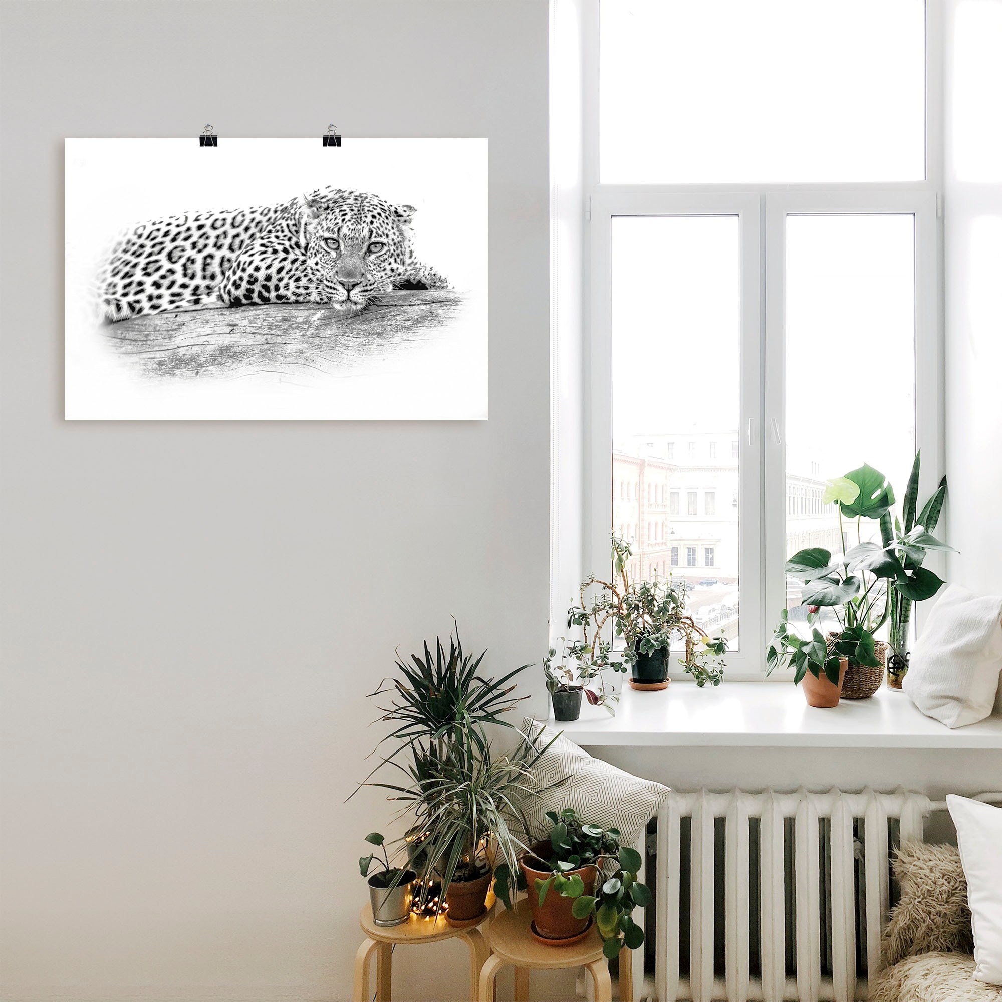 Artland Wandbild »Leopard High Key Leinwandbild, Poster in (1 als kaufen oder versch. St.), Grössen Wandaufkleber Optik«, Alubild, Wildtiere