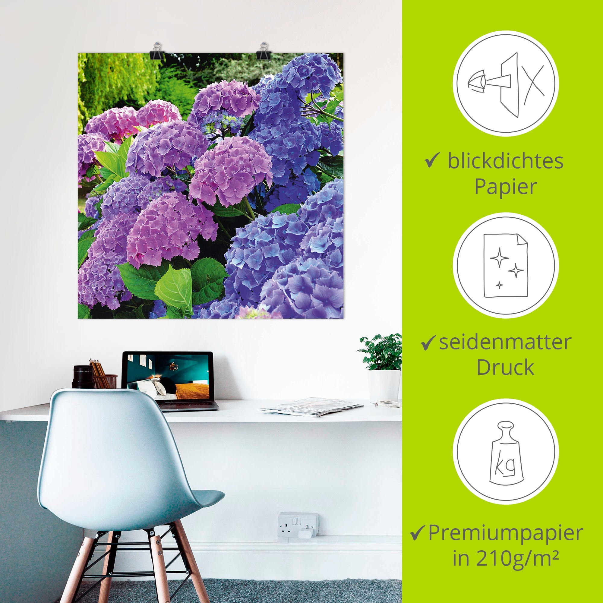 Artland Wandbild »Hortensien im Garten«, Blumen, (1 St.), als Alubild, Outdoorbild, Leinwandbild, Poster, Wandaufkleber