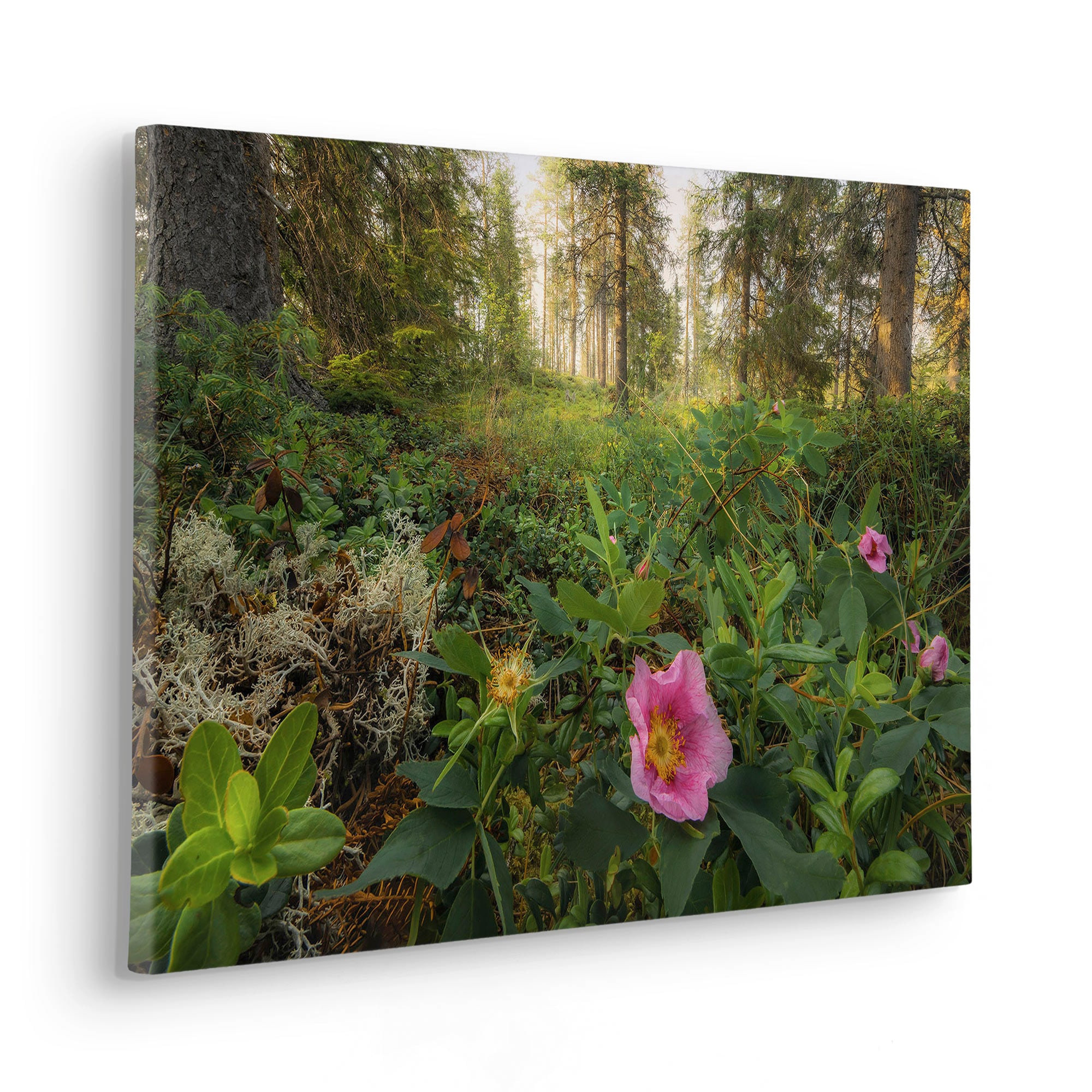 Image of Komar Leinwandbild "Charming Woods - Grösse 60 x 40 cm" Baum Berge Blumen Blätter Foto Jahreszeiten Landschaft Meer Natur Palmen Strand Packung, 1 Stk. tlg. Keilrahmenbild mi Echtholzrahmen