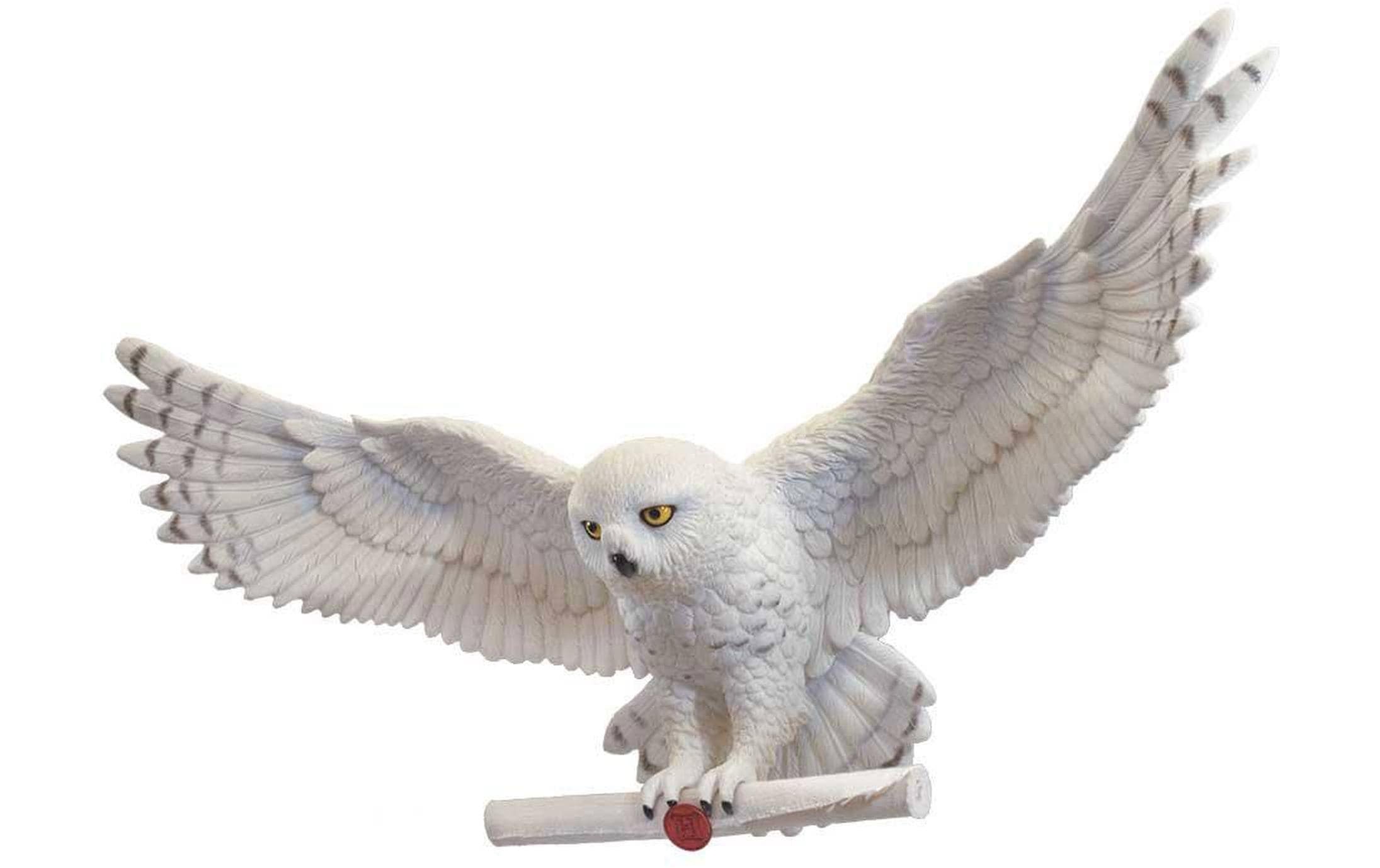 Image of Wanddekoobjekt "Noble Collection Hedwig"