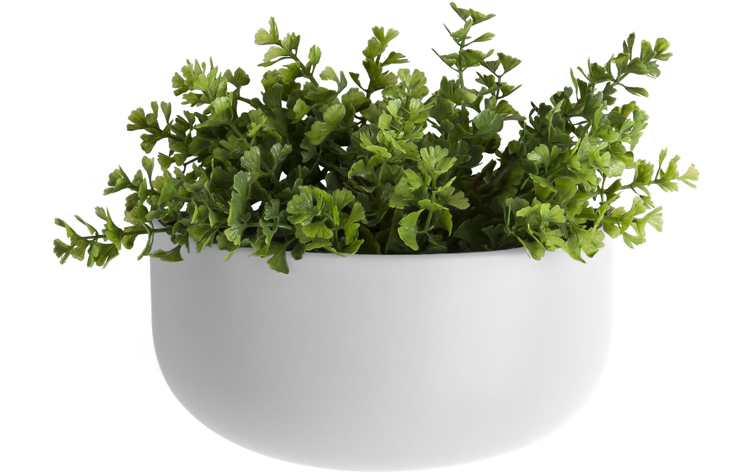 Present Time Blumentopf »Blumentopf Oval«