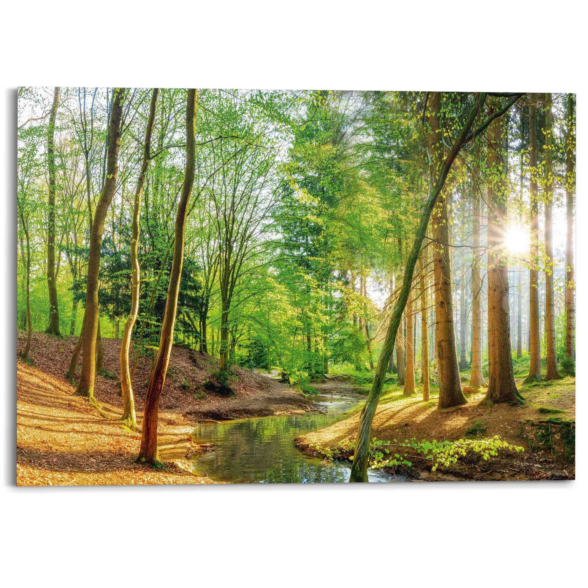 Image of Reinders Deco-Panel "Sonniger Wald" Hobbyraum - Grün - MDF - Wald - 140x100 cm