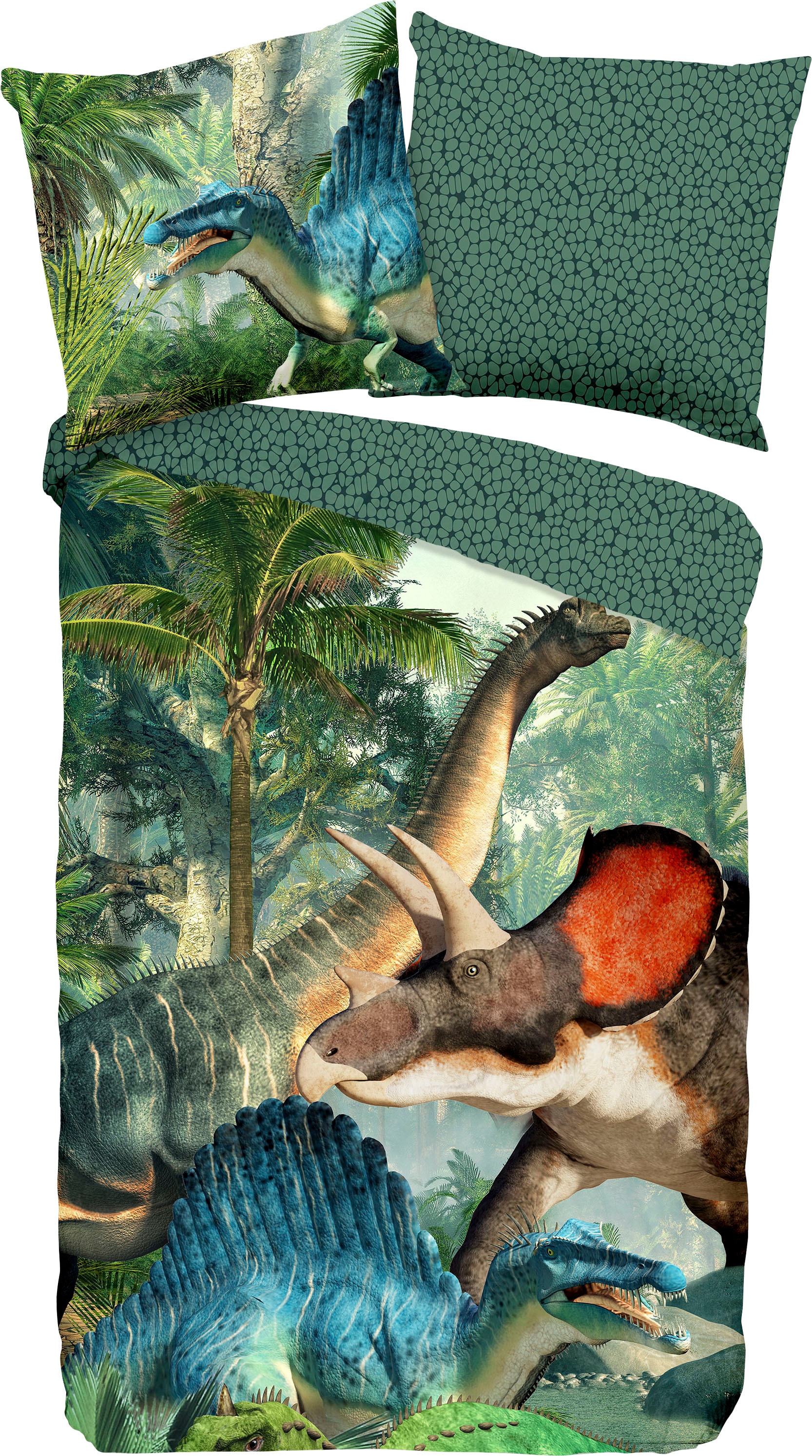 Kinderbettwäsche »Jurassic«, (2 tlg.), mit Dinosauriern