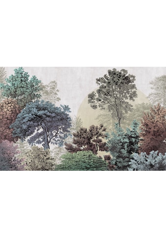 Komar Fototapete »Bois Brumeux«, botanisch-tropisch-Motiv, BxL: 400x250 cm, 150 g/m²,... kaufen