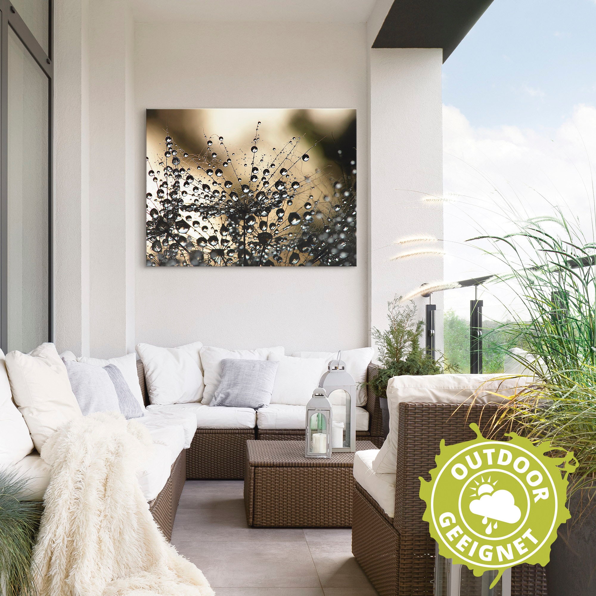 Artland Fresque murale »Nasser Löwenzahn« 1 cuis tlg. als Alubild, Leinwandbild in verschied. Grössen