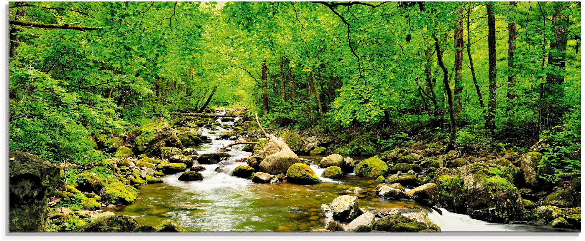 Image of Artland Glasbild "Herbstwald Fluss Smolny" Wald 1 Stk. tlg. in verschiedenen Grössen