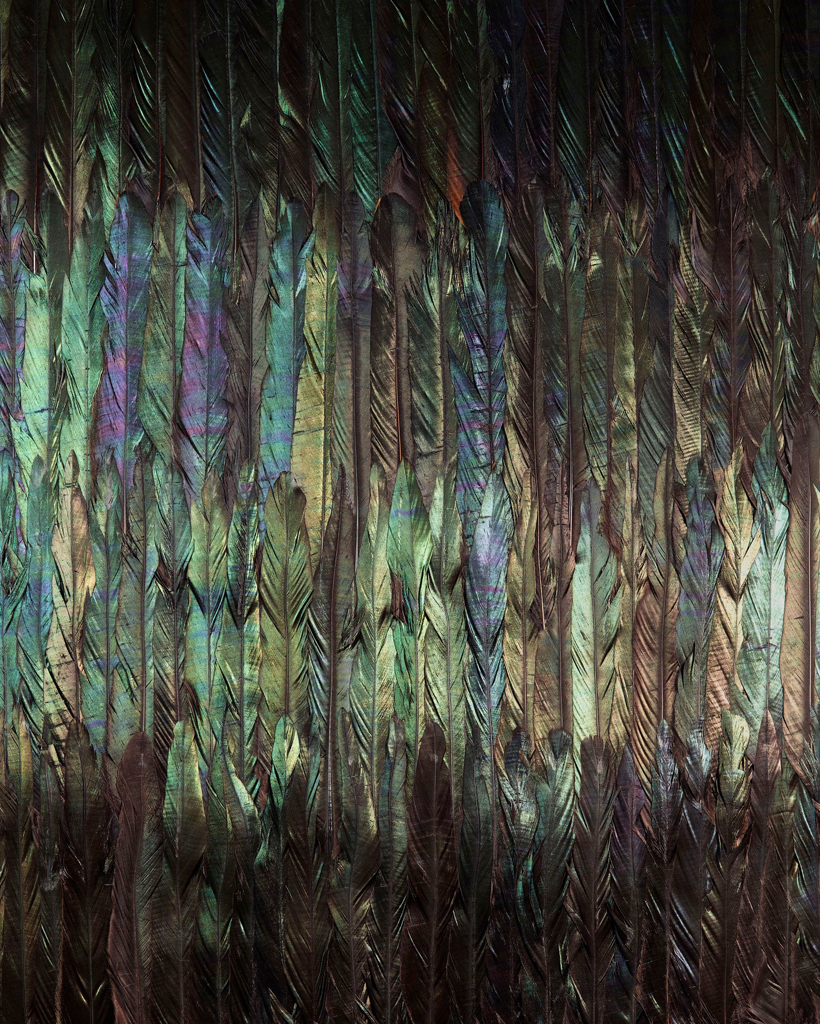 Image of Komar Vliestapete "Digitaldruck Vlies - Dark Wings - Grösse 200 x 250 cm" bedruckt glatt Wohnzimmer, Schlafzimmer