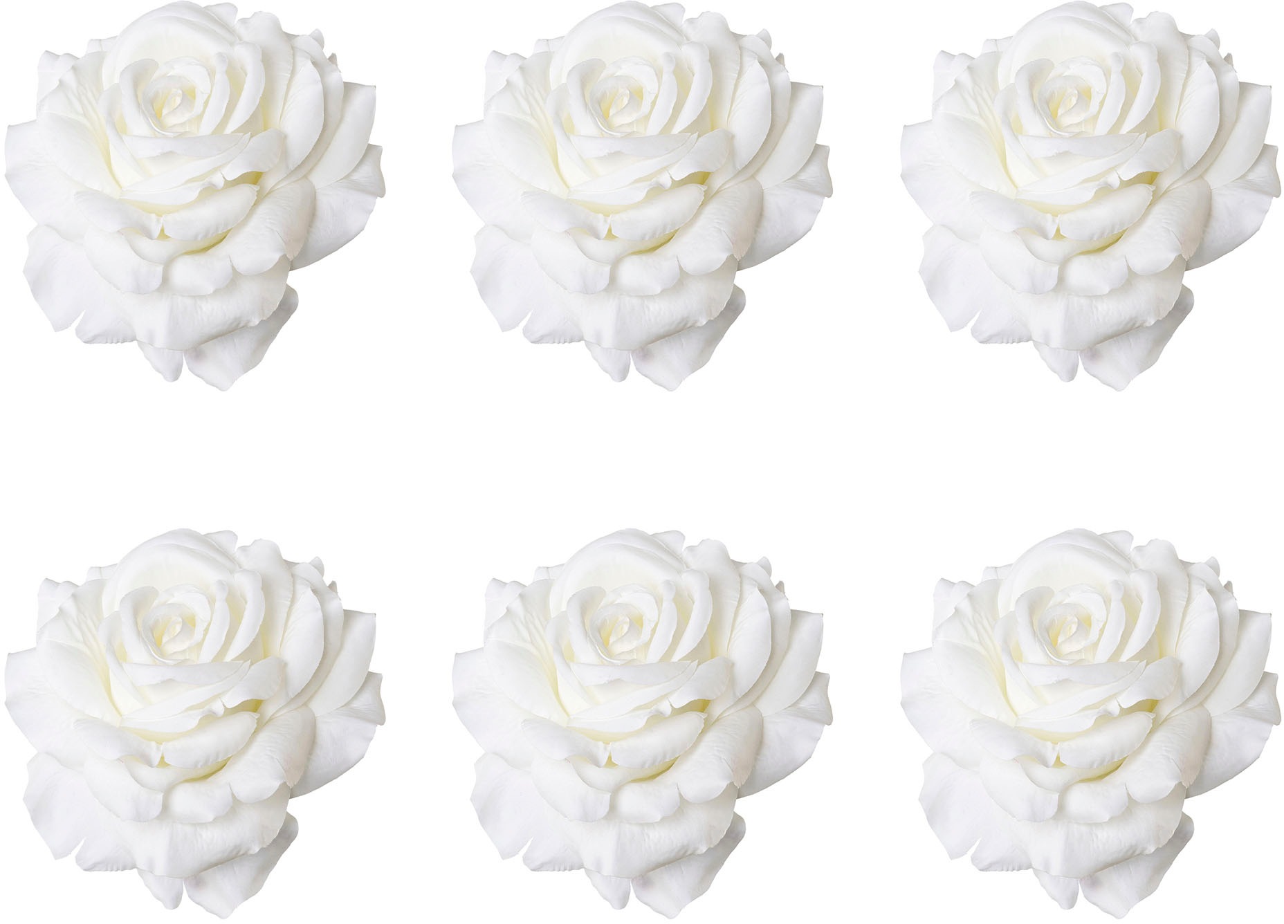 Image of Creativ green Kunstblume »Rose mit Clip«, (6 St.), im 6er Set bei Ackermann Versand Schweiz