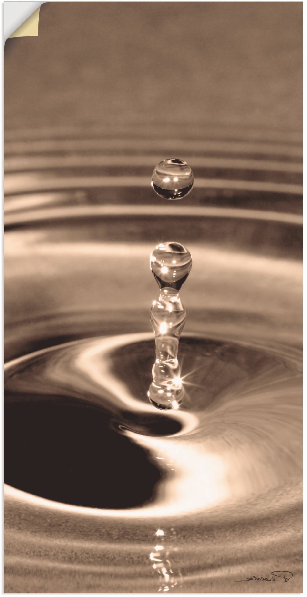 Image of Artland Wandbild »Die Elemente: Wasser«, Zen Bilder, (1 St.), in vielen Grössen & Produktarten - Alubild / Outdoorbild für den Aussenbereich, Leinwandbild, Poster, Wandaufkleber / Wandtattoo auch für Badezimmer geeignet bei Ackermann Versand Schweiz