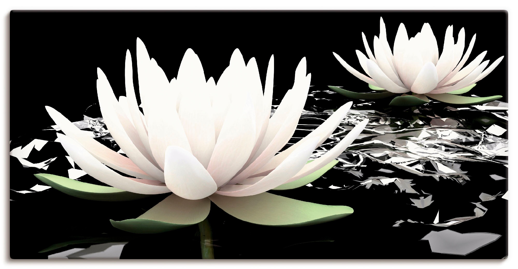 Image of Artland Wandbild "Zwei Lotusblumen auf dem Wasser" Blumen 1 Stk. tlg. als Alubild, Leinwandbild in verschied. Grössen