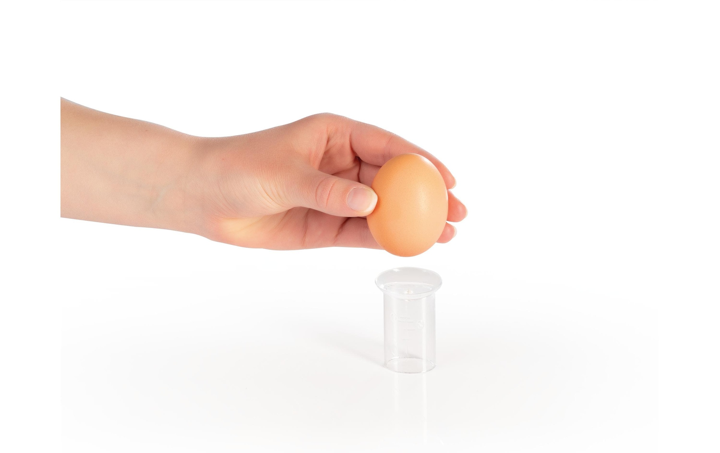 GOURMETmaxx Eierkocher »GOURMETmaxx Eierkocher« für 1 Stk. Eier 70 W