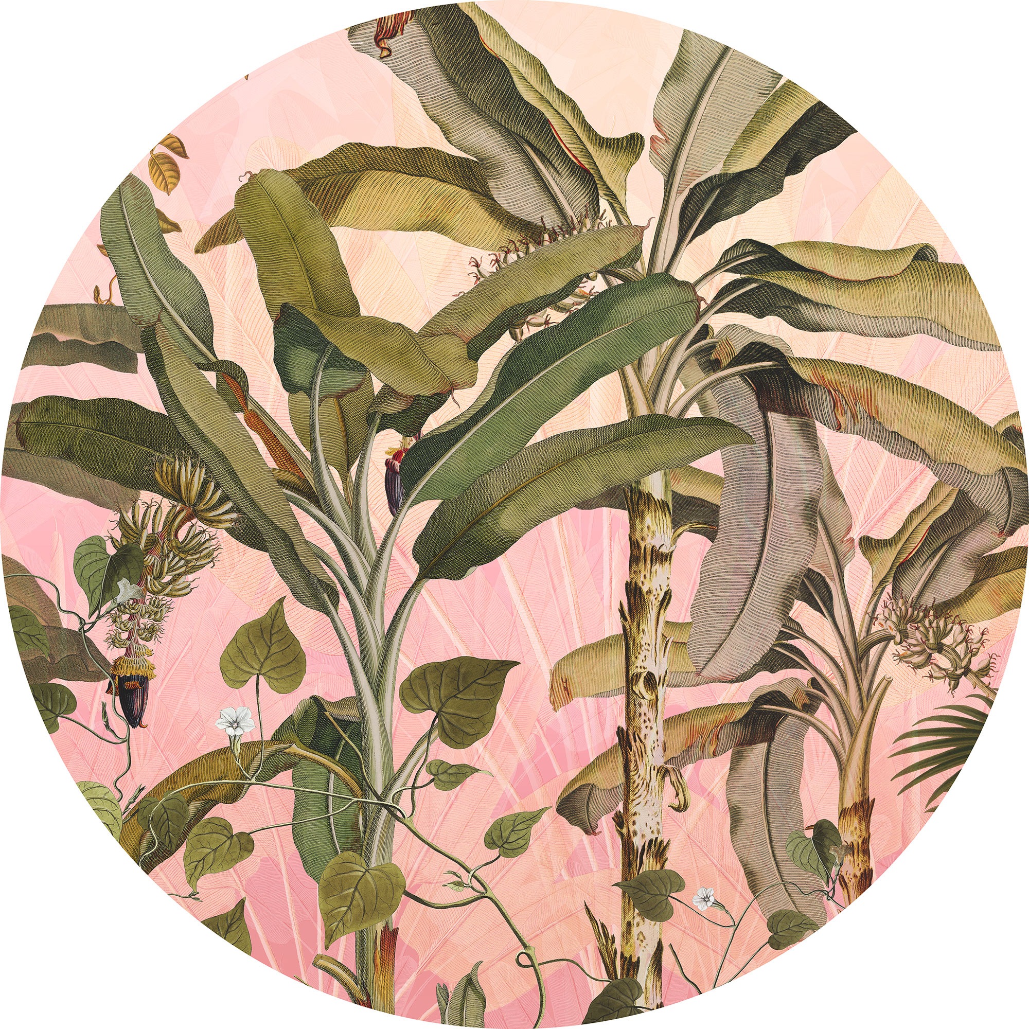 Komar Fototapete "Dot - selbstklebende Vlies Fototapete - Botany - Größe 125 x 125 cm" Motiv  bedruckt glatt