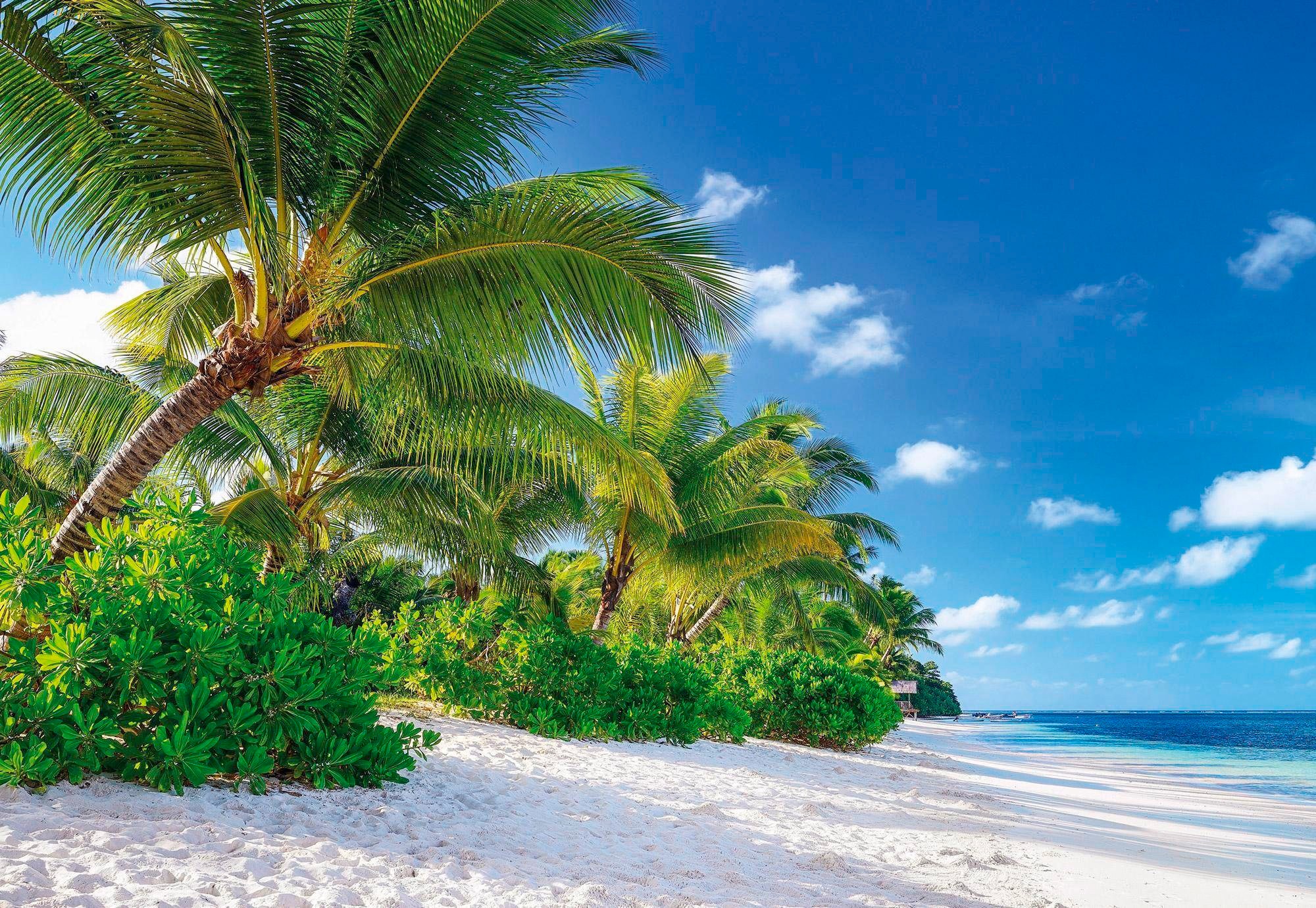 Image of Komar Fototapete »Reunion«, bedruckt-Meer-Wald, ausgezeichnet lichtbeständig bei Ackermann Versand Schweiz