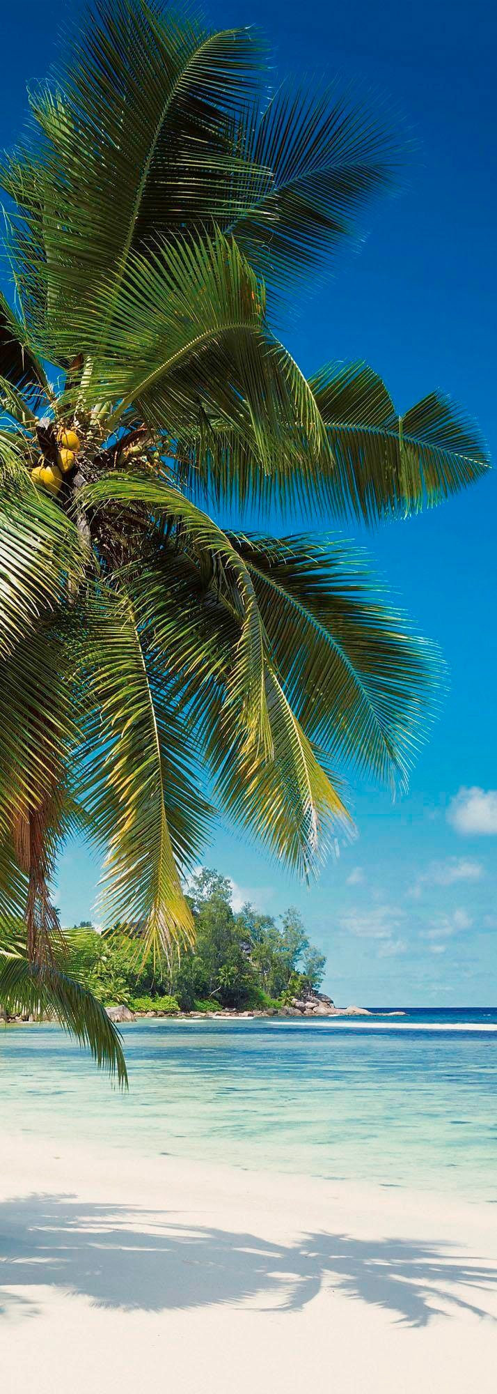 Image of Komar Vliestapete "Digitaldruck Vlies - Coconut Bay - Grösse 100 x 280 cm" bedruckt glatt Wohnzimmer, Schlafzimmer