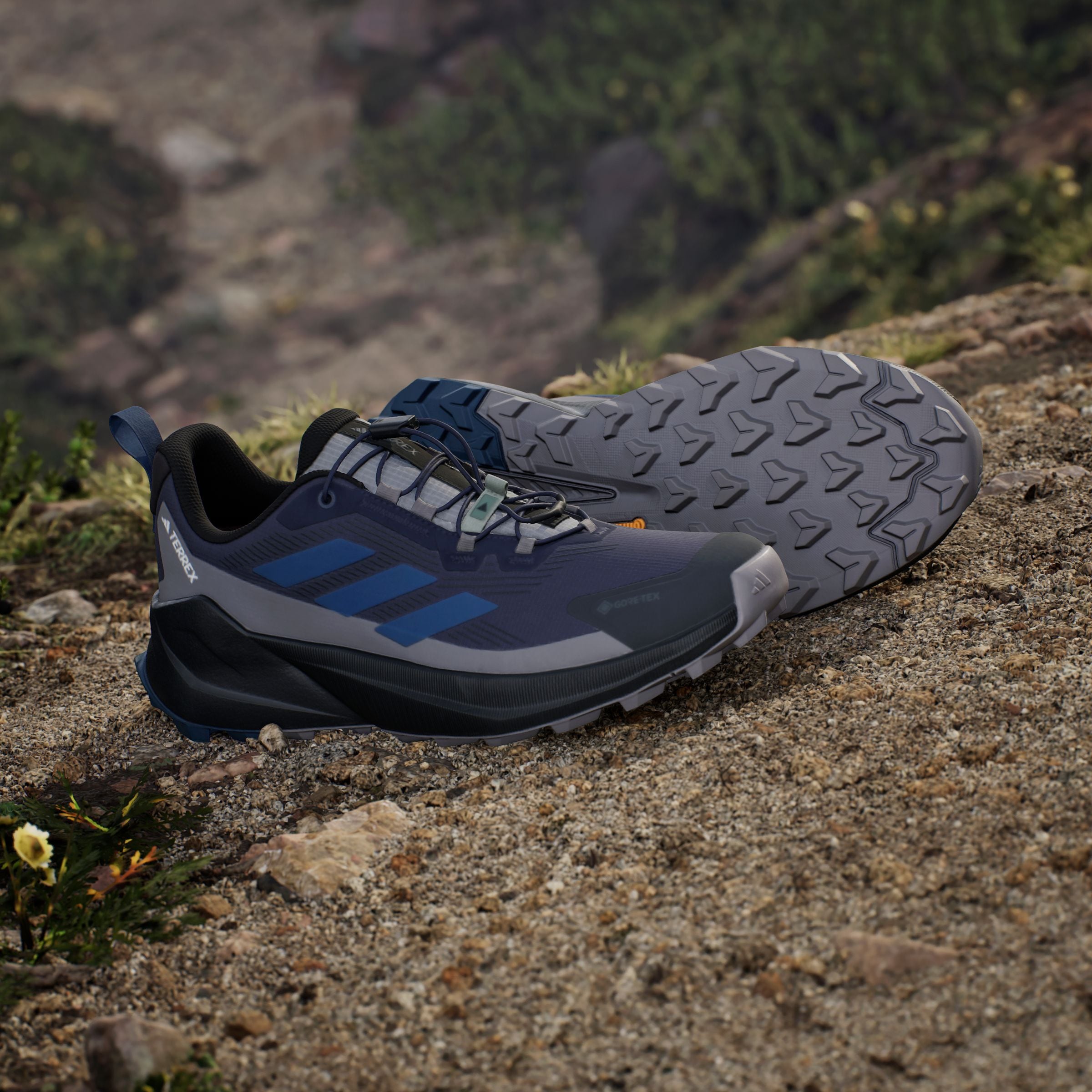 adidas TERREX Wanderschuh »TERREX TRAILMAKER 2 GORE-TEX SPEED LACE«, wasserdicht