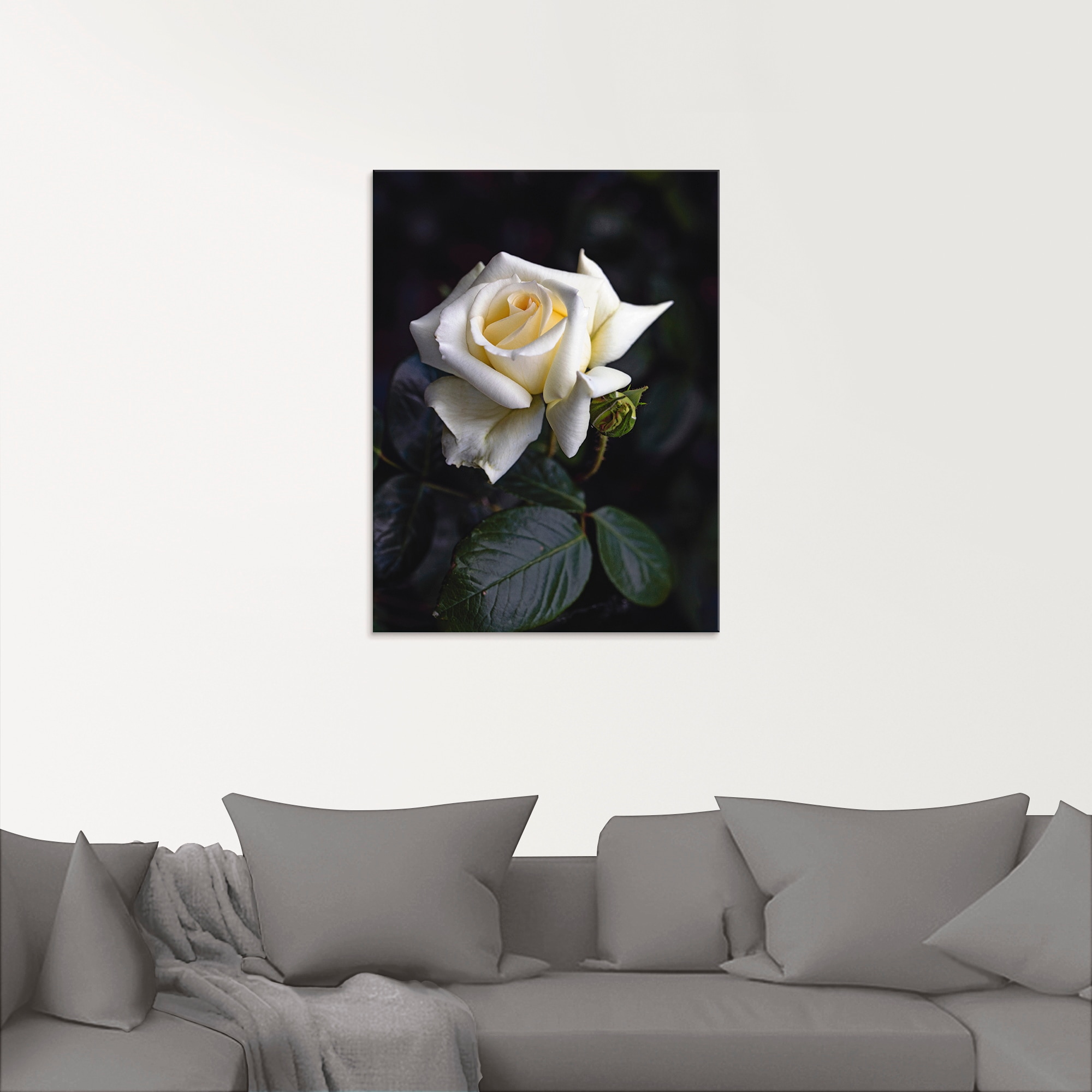 Artland Glasbild »Weiss-gelbe Rose« Blumen 1 Stk. tlg. in verschiedenen Grössen