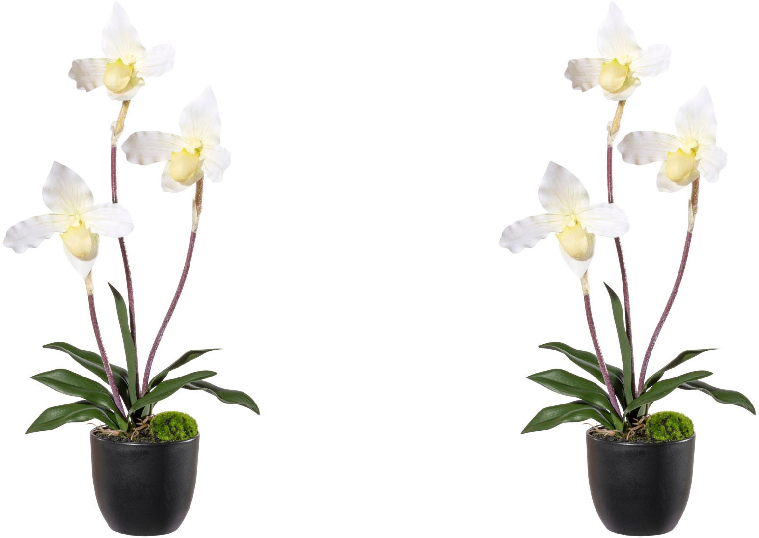 kaufen Frauenschuh«, mit »Orchidee green günstig Creativ Kunstorchidee Real-Touch-Blüten