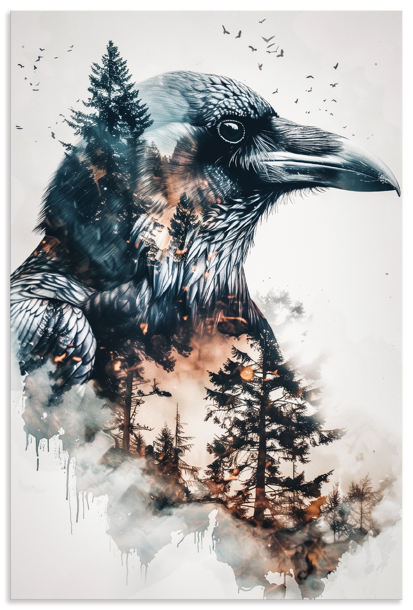 Image of Artland Wandbild "Rabe" Vogelbilder 1 Stk. tlg. als Alubild, Leinwandbild, Poster, Wandaufkleber in verschied. Grössen