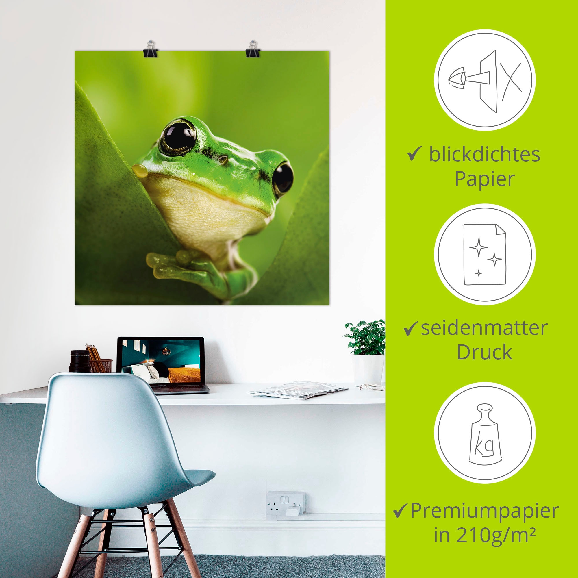 Artland Wandbild »Ausspähender Frosch« Wassertiere 1 Stk. tlg. als Leinwandbild, Poster in verschied. Grössen