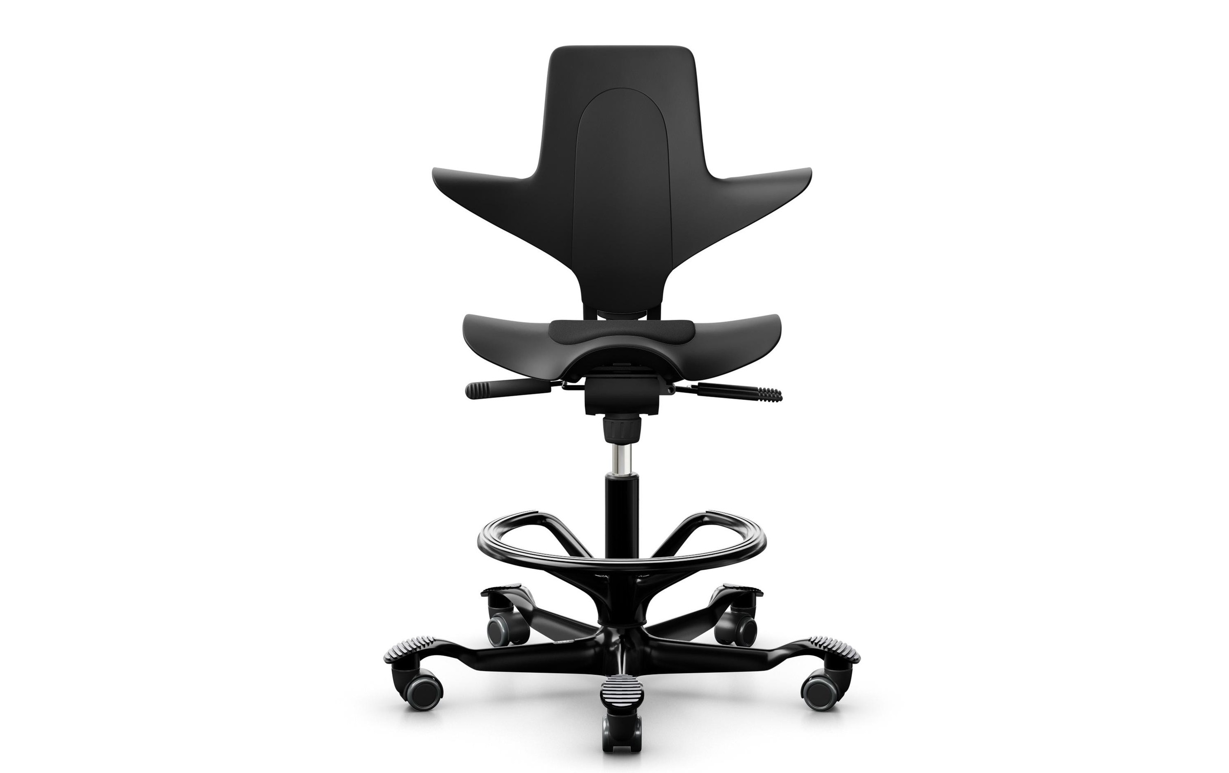 Image of Schreibtischstuhl "HÃG Capisco Puls 8009" ()